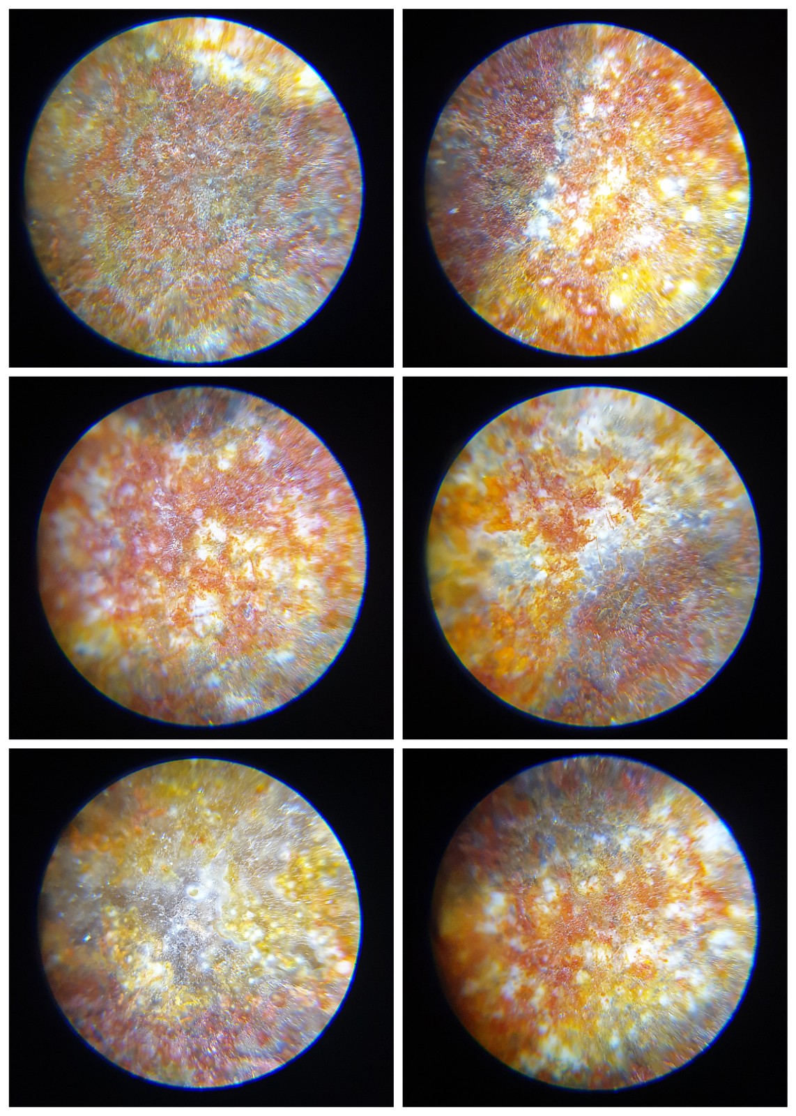 39.8mm Aged Tibetan Xang Xung (Zhang Zhung) Visvavajra 6 Eyes Dzi with red spots (with certificate, necklace string) 39.8毫米西藏老矿象雄满朱砂十字金刚六眼天珠(带证书送项链绳)