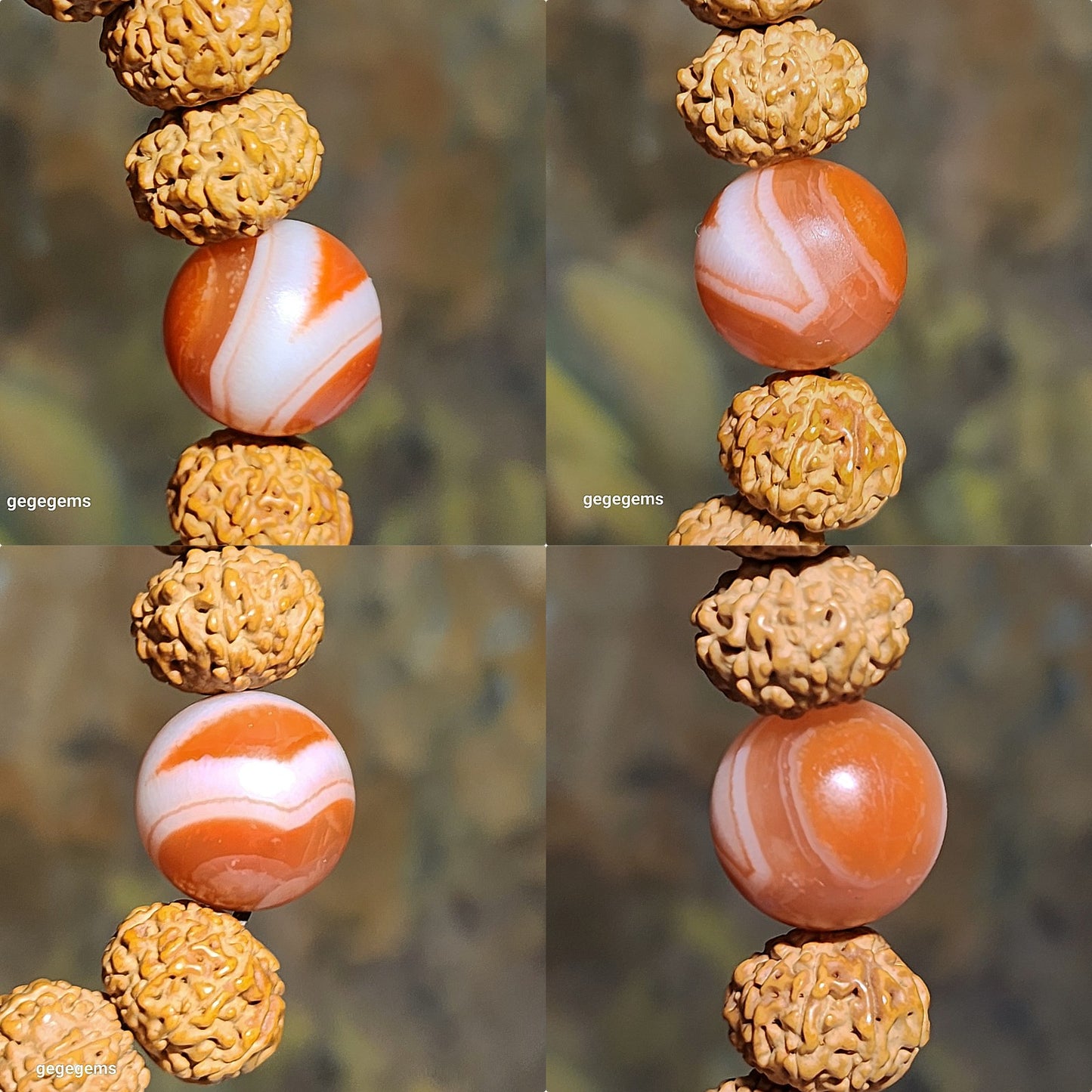 14mm premium natural "Panlong" (Coiling Dragon) 10 Mukhi (faces) small species Rudraksha with a 16mm Baoshan Nan Hong bracelet/18 beads mala 14毫米十瓣盘龙小金刚菩提子配宝山南红手链/十八子手持