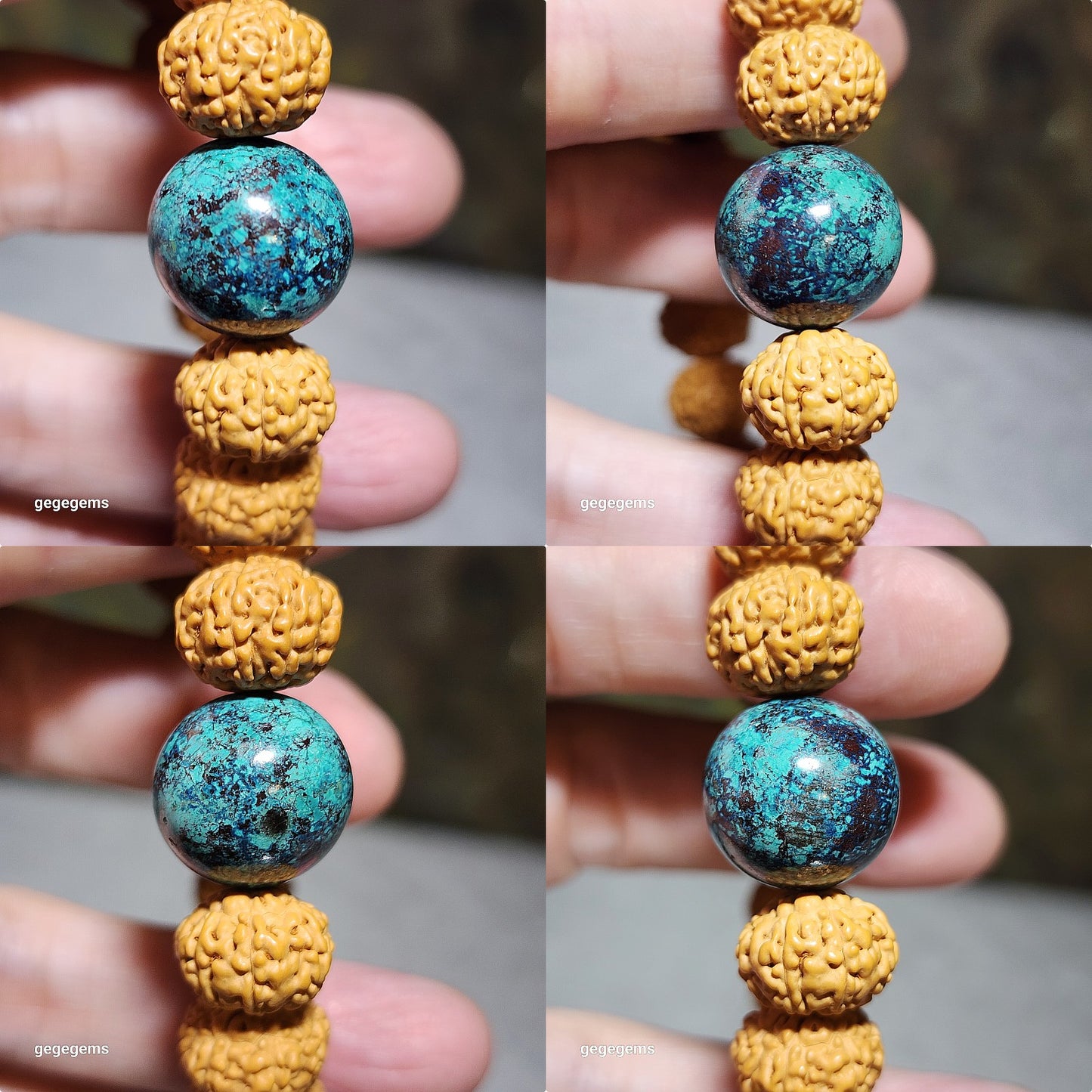 12.5mm+ premium natural "Panlong" (Coiling Dragon) 7 Mukhi (faces) small species Rudraksha with a 16.2mm Chrysocolla bracelet 七瓣盘龙小金刚菩提子配凤凰松石(硅孔雀石)手链