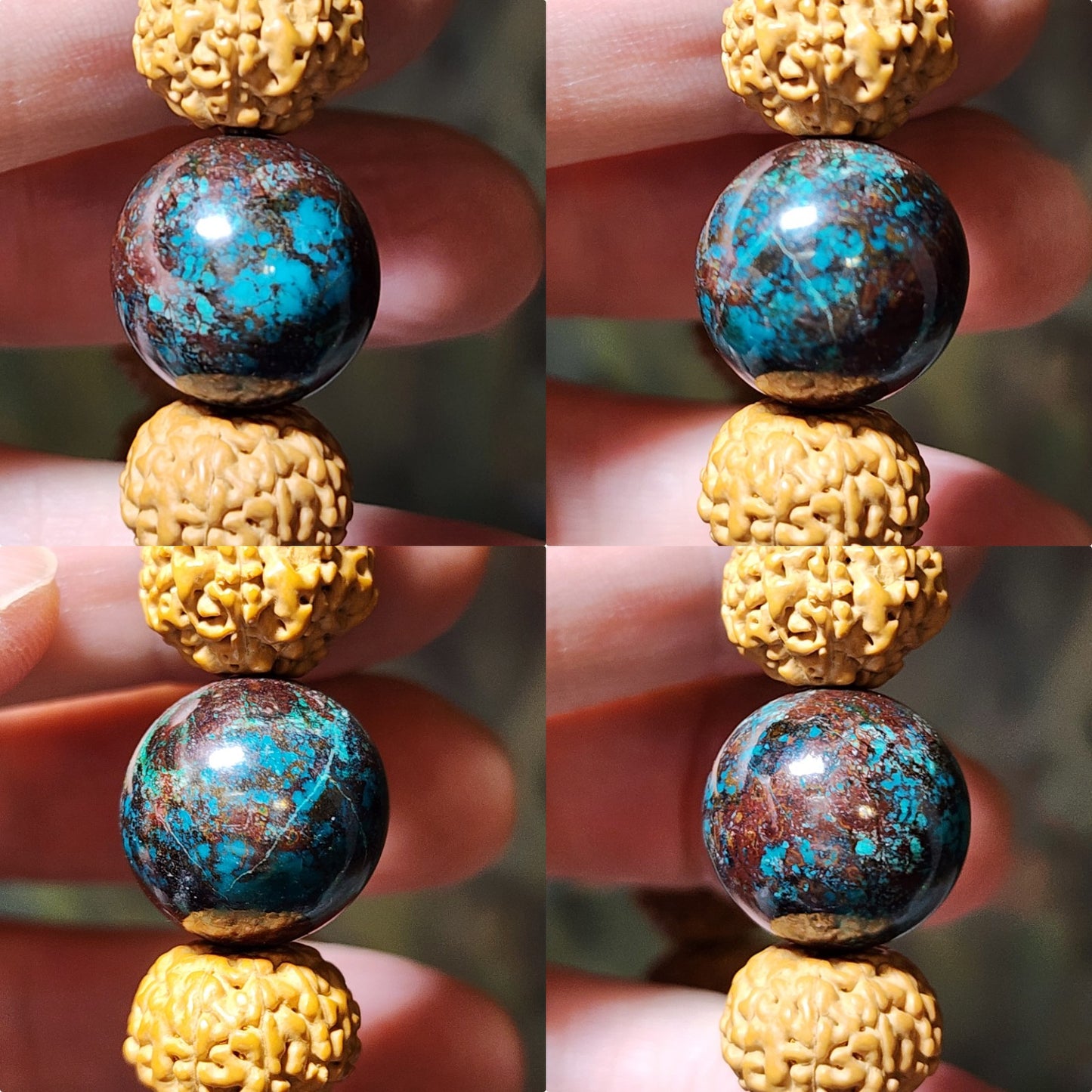 14mm+ premium natural "Panlong" (Coiling Dragon) 10 Mukhi (faces) small species Rudraksha with a 16mm Chrysocolla "18 beads mala" bracelet 十瓣盘龙小金刚菩提子配凤凰松石(硅孔雀石)十八子手链