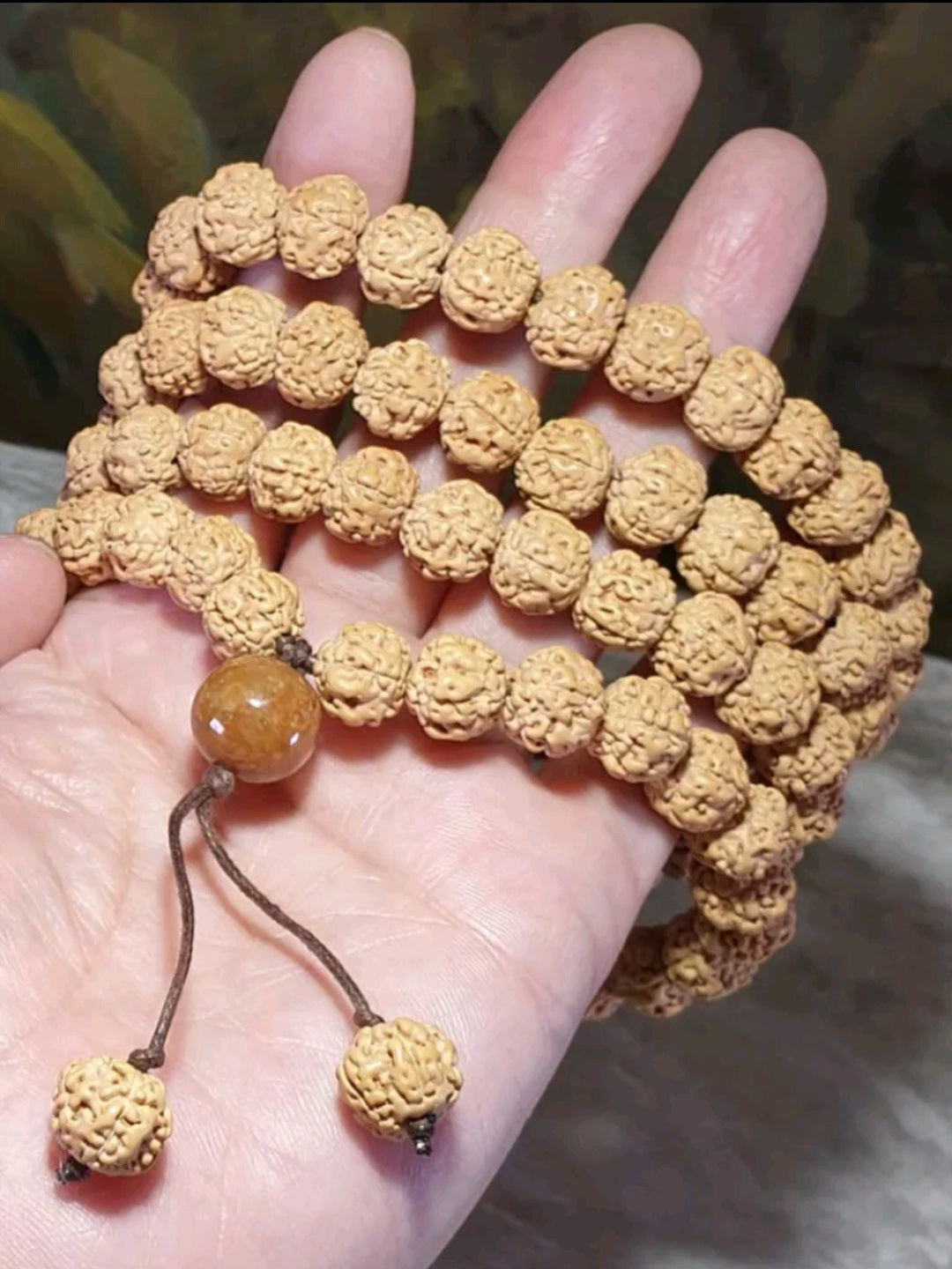 11.5mm large size "ginger yellow" 5 Mukhi (Faces) "Double Dragons" Rudraksha 108 chanting beads 11.5毫米大尺寸姜黄皮五瓣双龙小金刚菩提108念珠 (Same design with 99 chanting beads also available. )
