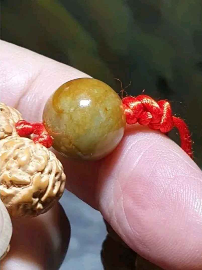 Rare XL 13mm "ginger yellow" 5 Mukhi (Faces) "Double-Dragon Panlong" small species Rudraksha 108 mala beads/necklace/handheld 罕见大尺寸13毫米姜黄皮五瓣双龙盘龙小金刚菩提超大108念珠/项链/手持