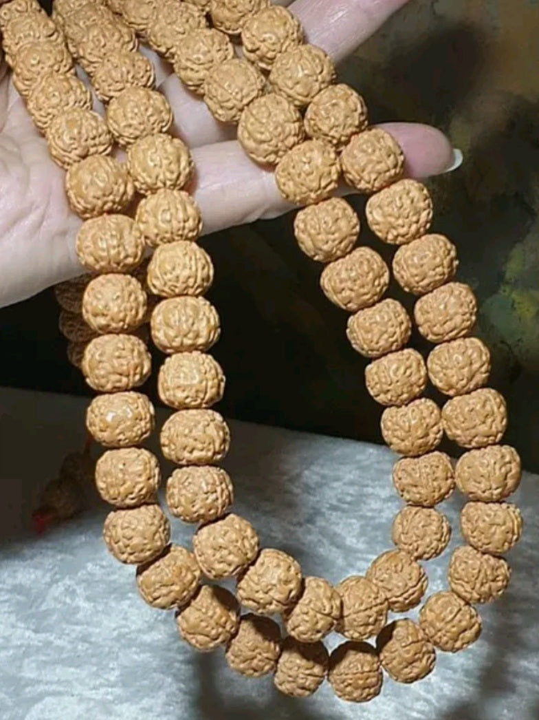Rare XL 13mm "ginger yellow" 5 Mukhi (Faces) "Double-Dragon Panlong" small species Rudraksha 108 mala beads/necklace/handheld 罕见大尺寸13毫米姜黄皮五瓣双龙盘龙小金刚菩提超大108念珠/项链/手持