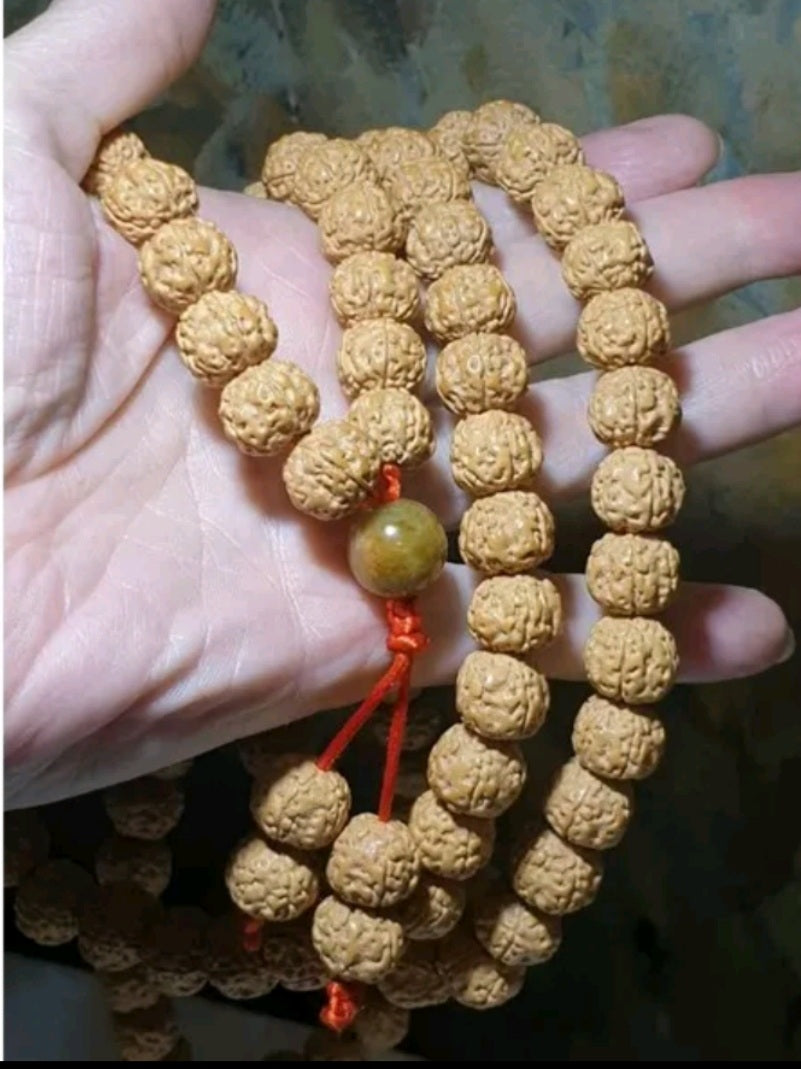 Rare XL 13mm "ginger yellow" 5 Mukhi (Faces) "Double-Dragon Panlong" small species Rudraksha 108 mala beads/necklace/handheld 罕见大尺寸13毫米姜黄皮五瓣双龙盘龙小金刚菩提超大108念珠/项链/手持