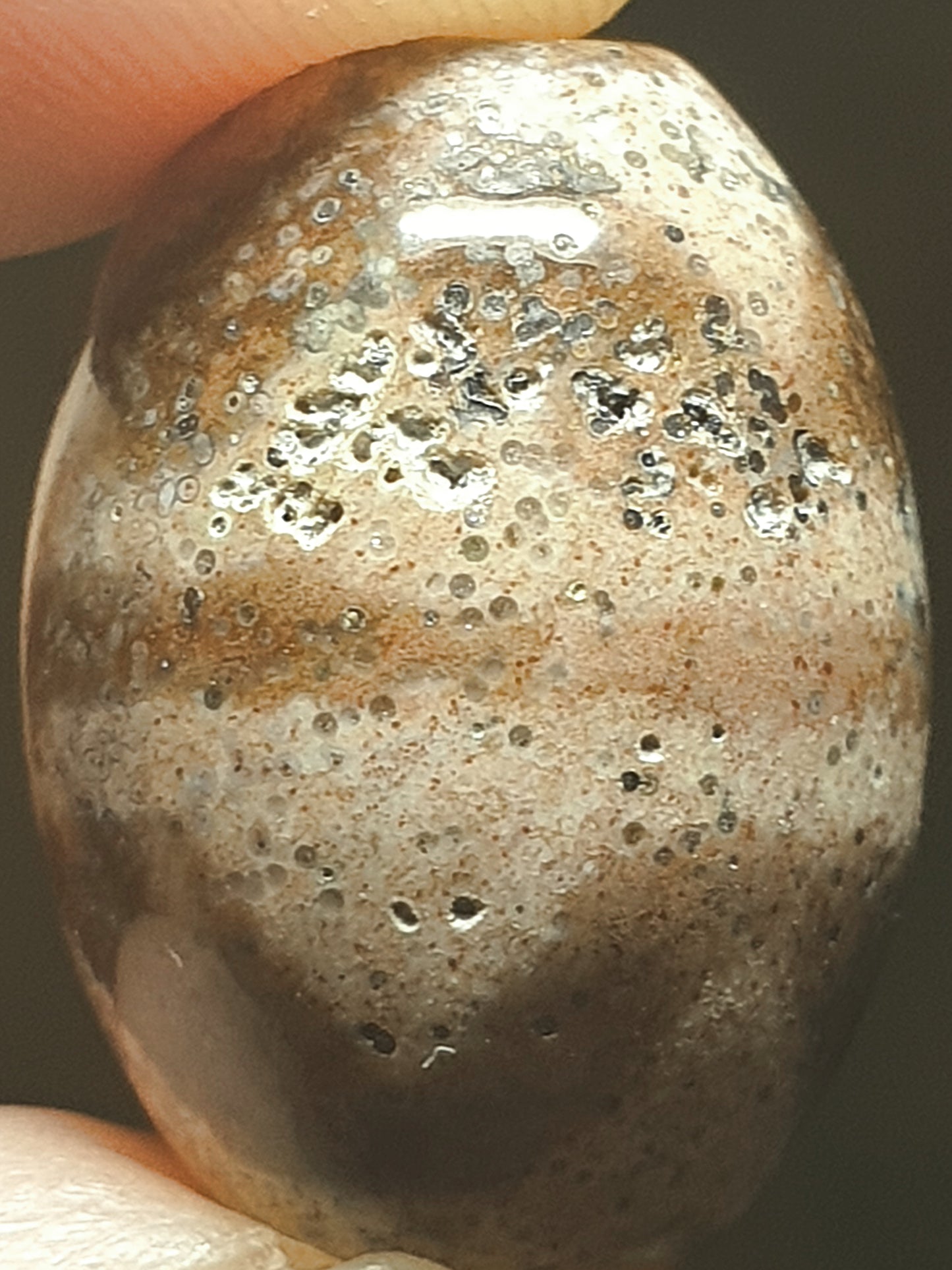 Aged Tibetan Xang Xung (Zhang Zhung) "Huya" Da Luo Dzi with "natural eyes" full of red spots (with certificate, free necklace cord) 西藏老矿象雄满红朱砂天眼虎牙达洛天珠(带证书送项链绳)