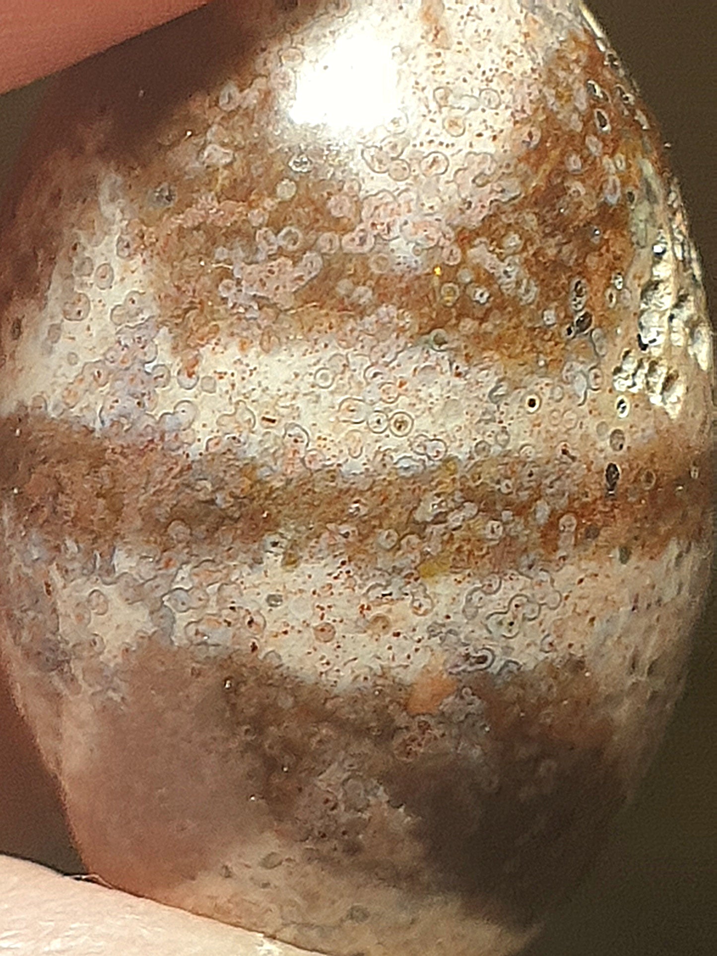 Aged Tibetan Xang Xung (Zhang Zhung) "Huya" Da Luo Dzi with "natural eyes" full of red spots (with certificate, free necklace cord) 西藏老矿象雄满红朱砂天眼虎牙达洛天珠(带证书送项链绳)