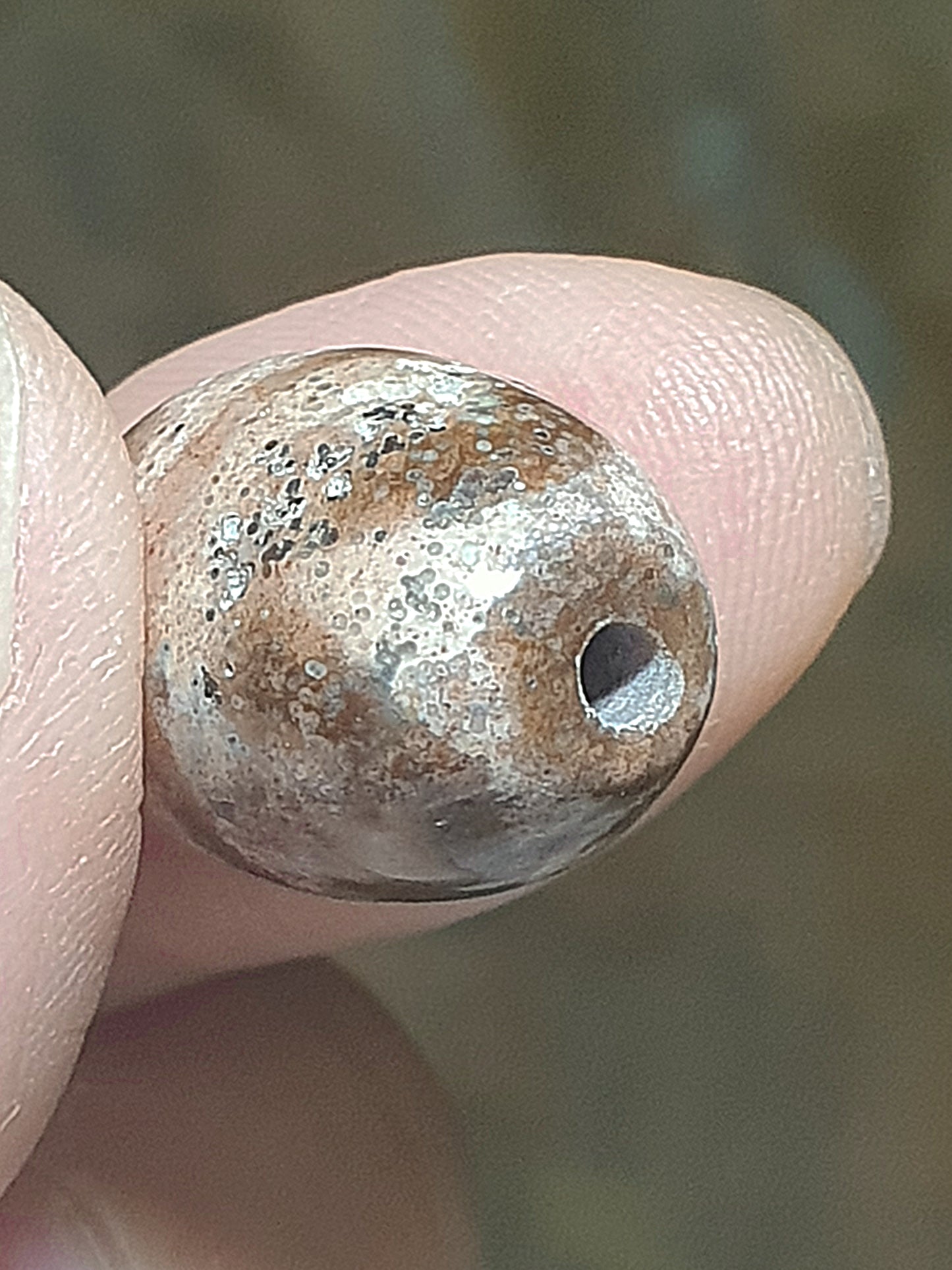 Aged Tibetan Xang Xung (Zhang Zhung) "Huya" Da Luo Dzi with "natural eyes" full of red spots (with certificate, free necklace cord) 西藏老矿象雄满红朱砂天眼虎牙达洛天珠(带证书送项链绳)