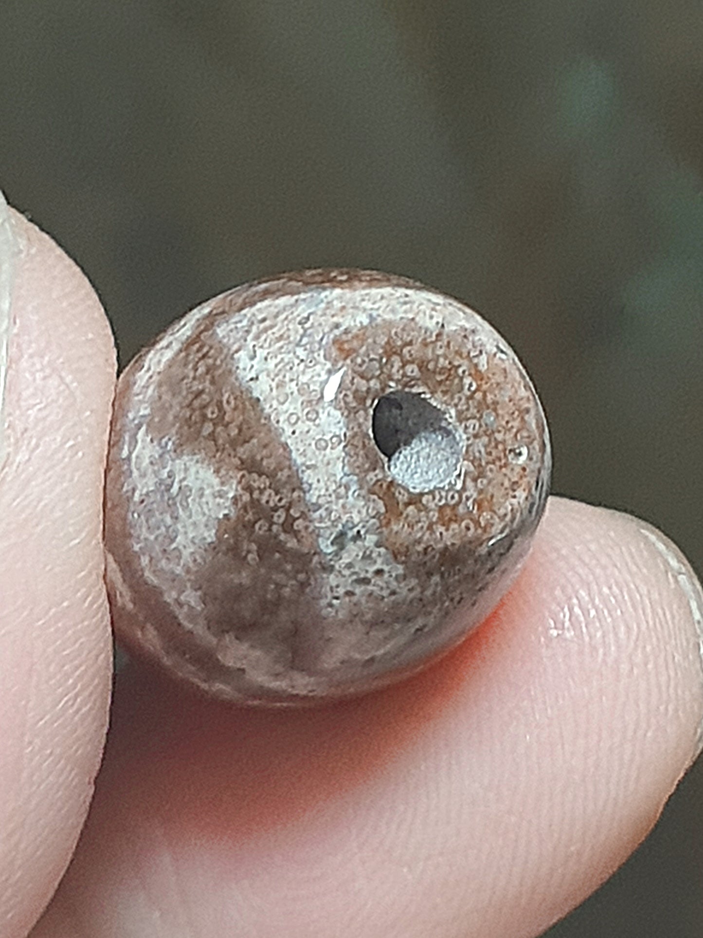 Aged Tibetan Xang Xung (Zhang Zhung) "Huya" Da Luo Dzi with "natural eyes" full of red spots (with certificate, free necklace cord) 西藏老矿象雄满红朱砂天眼虎牙达洛天珠(带证书送项链绳)