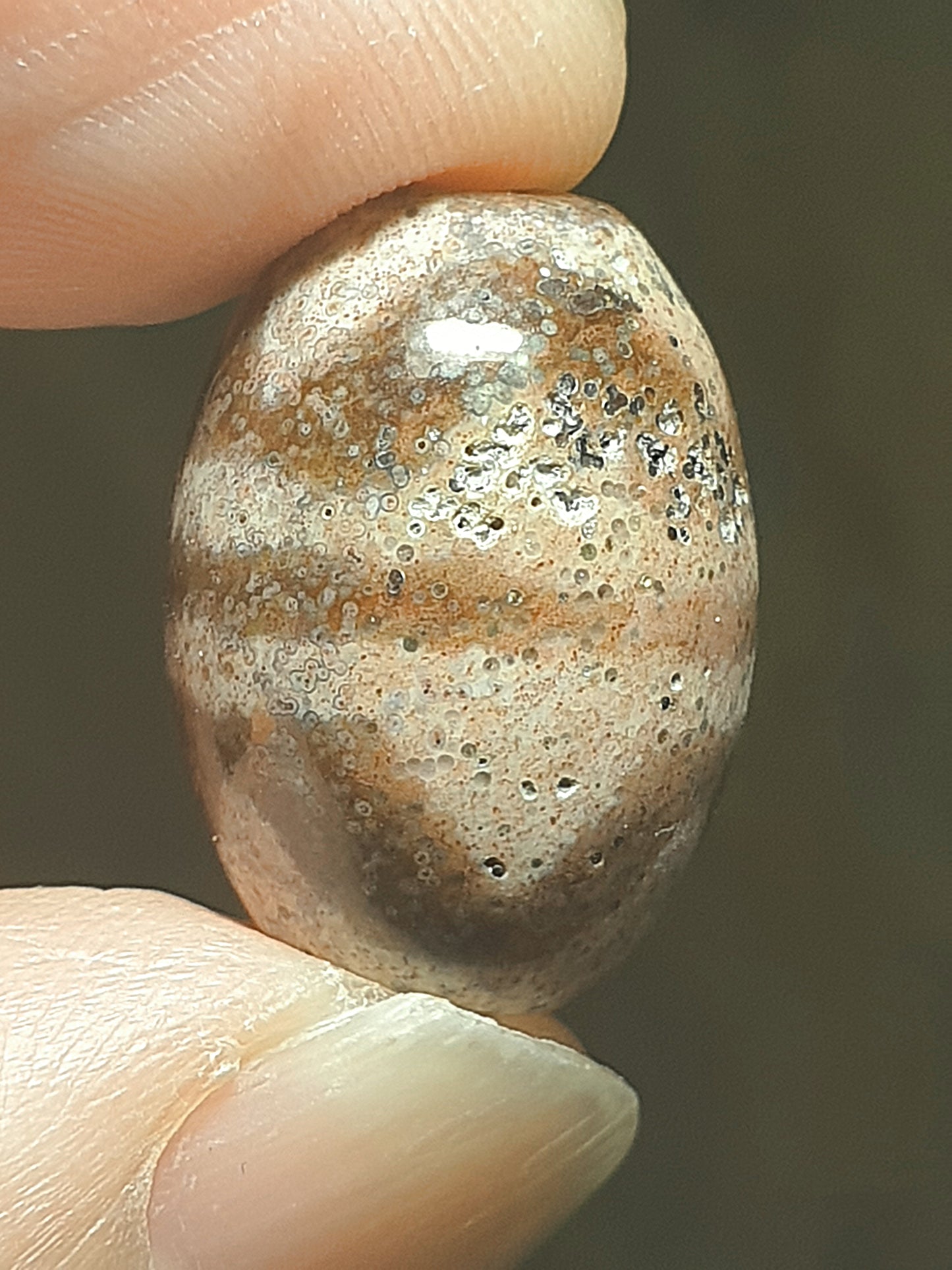 Aged Tibetan Xang Xung (Zhang Zhung) "Huya" Da Luo Dzi with "natural eyes" full of red spots (with certificate, free necklace cord) 西藏老矿象雄满红朱砂天眼虎牙达洛天珠(带证书送项链绳)