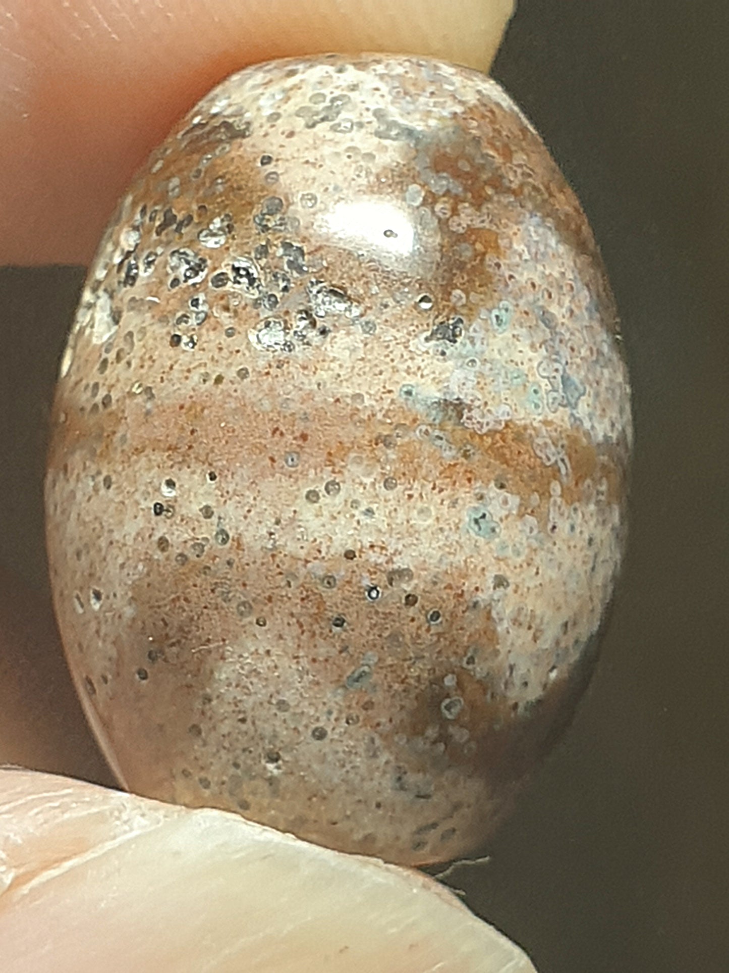 Aged Tibetan Xang Xung (Zhang Zhung) "Huya" Da Luo Dzi with "natural eyes" full of red spots (with certificate, free necklace cord) 西藏老矿象雄满红朱砂天眼虎牙达洛天珠(带证书送项链绳)