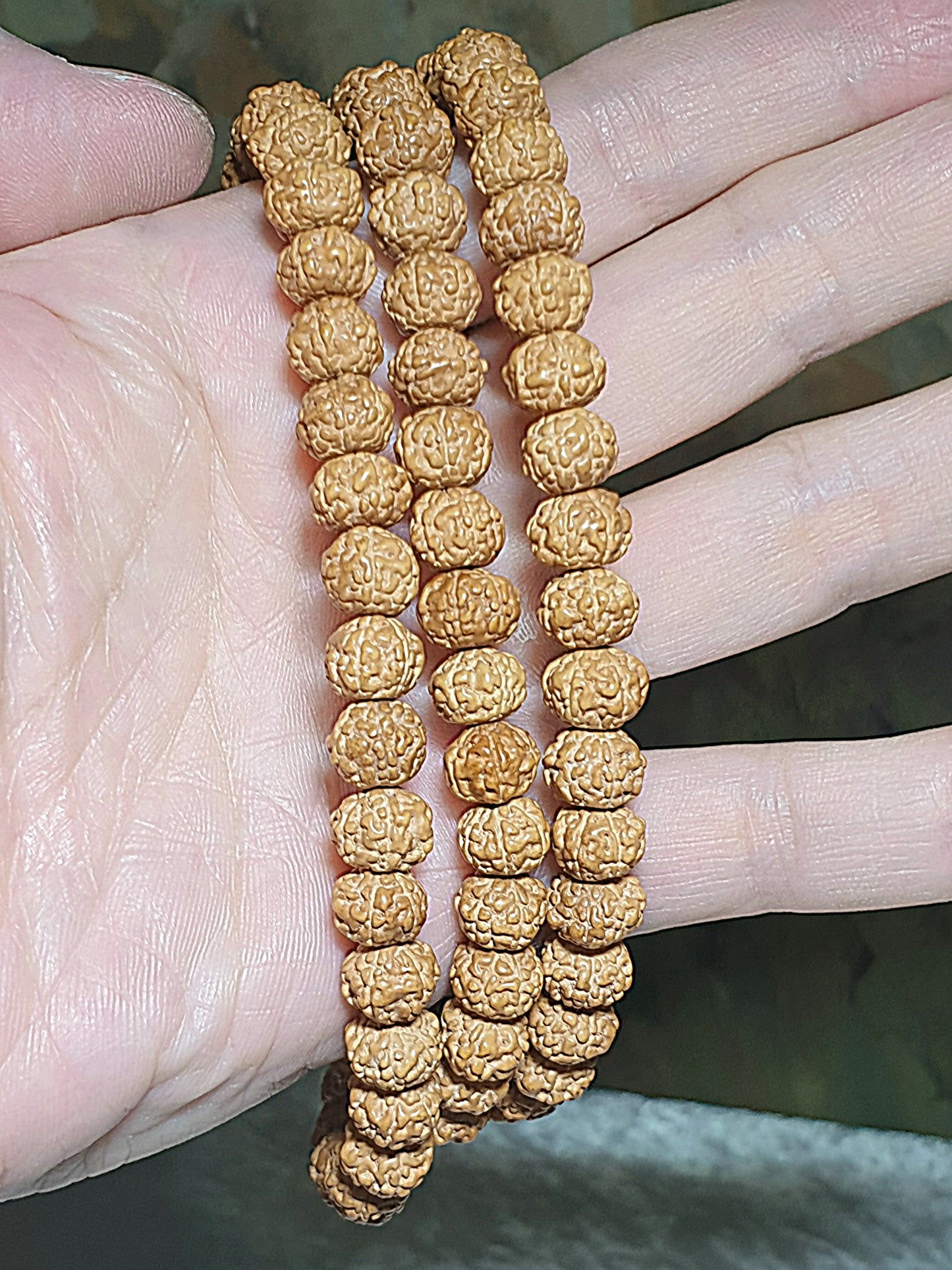 8.8mm 6 Mukhi (Faces) high density high oil content"Panlong (Coiling Dragons") Rudraksha 108 mala beads/necklace with a 14mm The Warring States Sardonyx Lu Lu Tong 8.8毫米高油铁籽六瓣盘龙小金刚菩提108念珠/项链配14毫米战国红路路通