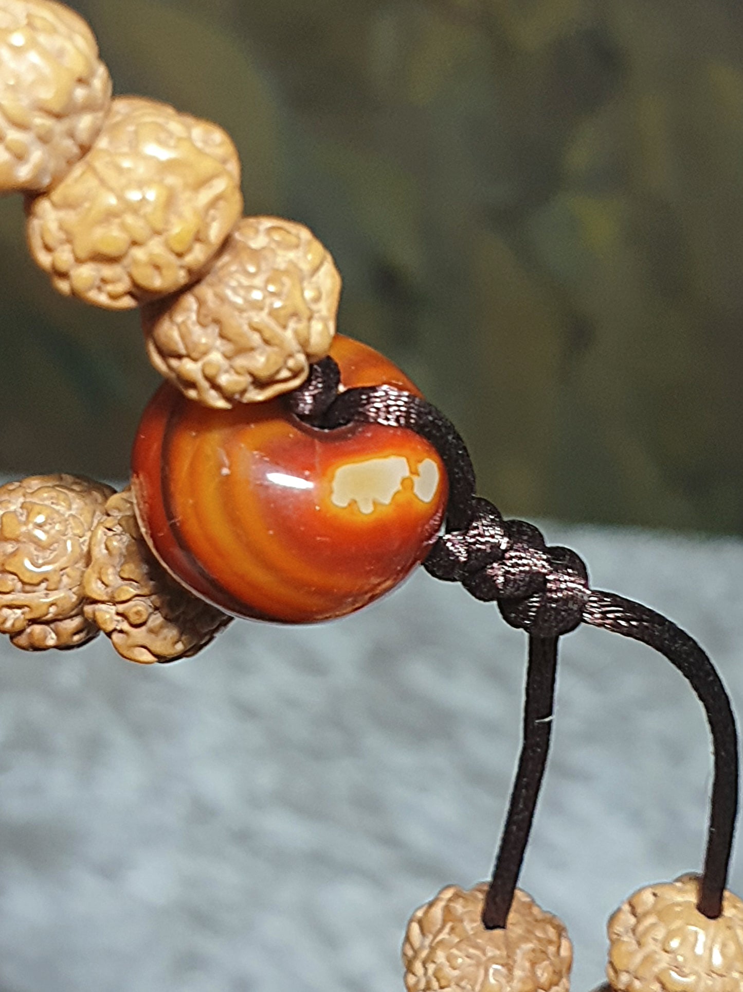 8.8mm 6 Mukhi (Faces) high density high oil content"Panlong (Coiling Dragons") Rudraksha 108 mala beads/necklace with a 14mm The Warring States Sardonyx Lu Lu Tong 8.8毫米高油铁籽六瓣盘龙小金刚菩提108念珠/项链配14毫米战国红路路通