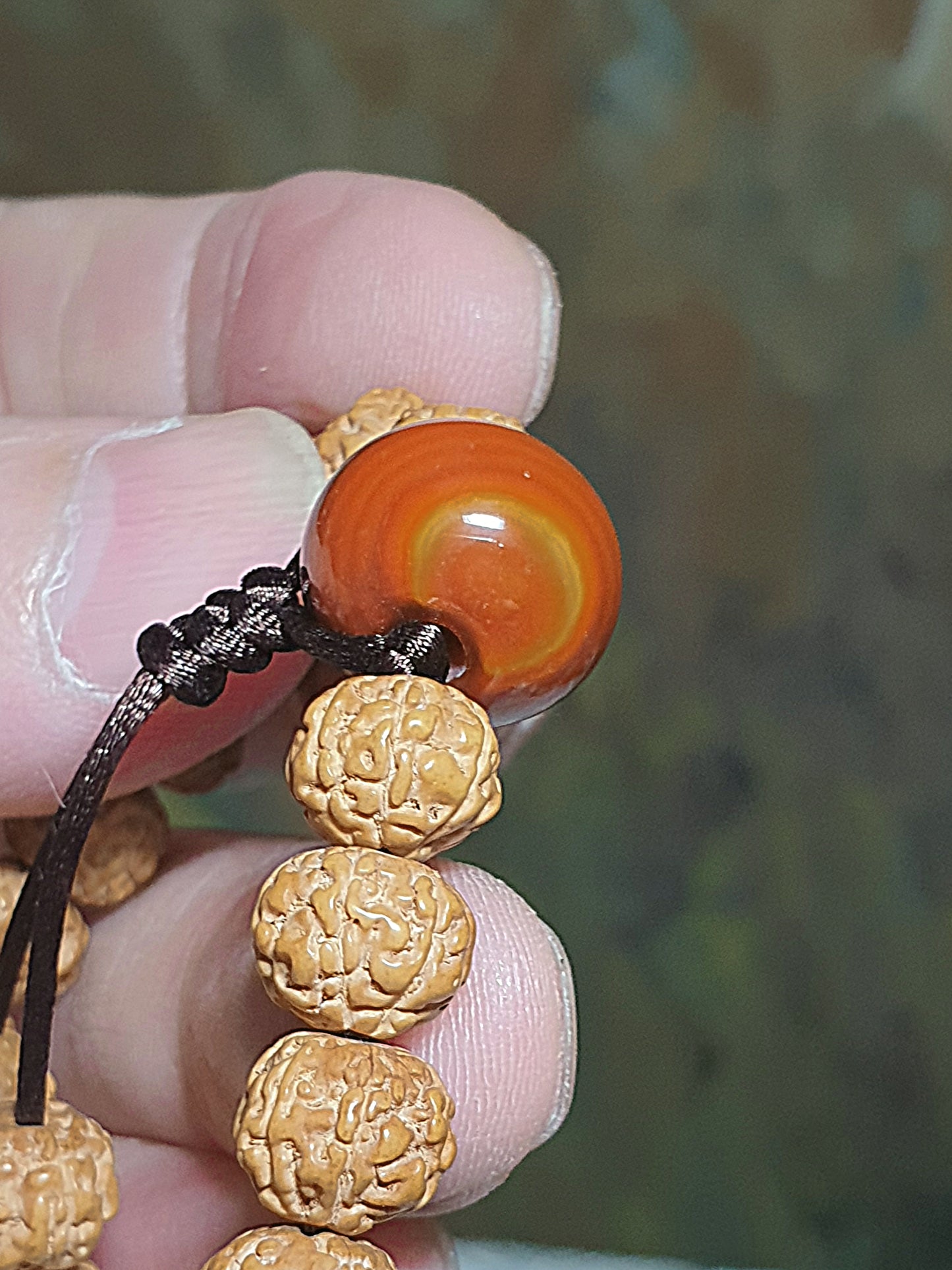 8.8mm 6 Mukhi (Faces) high density high oil content"Panlong (Coiling Dragons") Rudraksha 108 mala beads/necklace with a 14mm The Warring States Sardonyx Lu Lu Tong 8.8毫米高油铁籽六瓣盘龙小金刚菩提108念珠/项链配14毫米战国红路路通