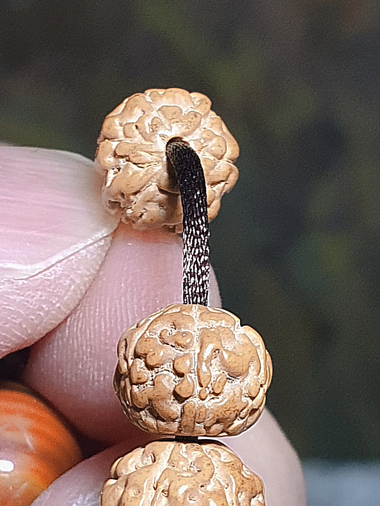 8.8mm 6 Mukhi (Faces) high density high oil content"Panlong (Coiling Dragons") Rudraksha 108 mala beads/necklace with a 14mm The Warring States Sardonyx Lu Lu Tong 8.8毫米高油铁籽六瓣盘龙小金刚菩提108念珠/项链配14毫米战国红路路通