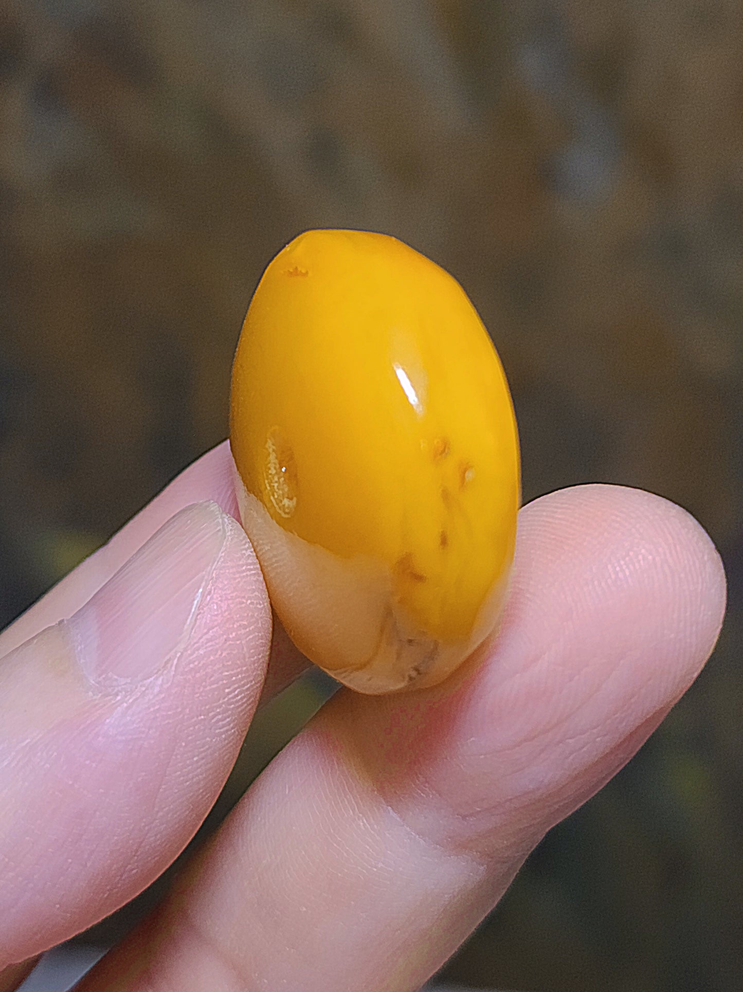 29.5mm Aged handmade Butterscotch Amber Donut pendant (free necklace cord) 29.5毫米手工老蜜蜡平安扣吊坠(送項链绳)
