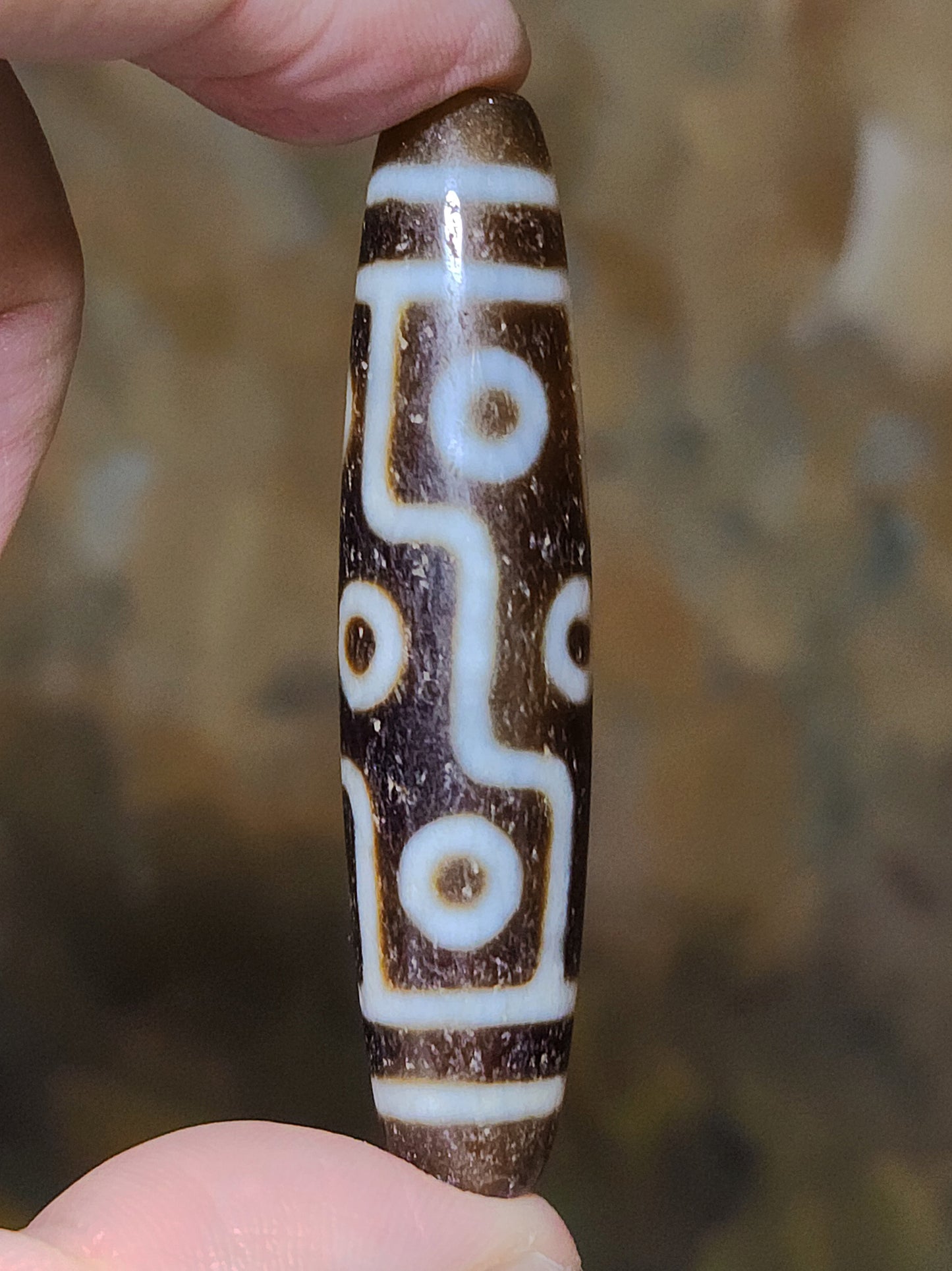 57.3mm Aged Tibetan Agate Nine Eyes Dzi (free necklace cord) 57.3毫米西藏老矿玛瑙九眼天珠(送項链绳)