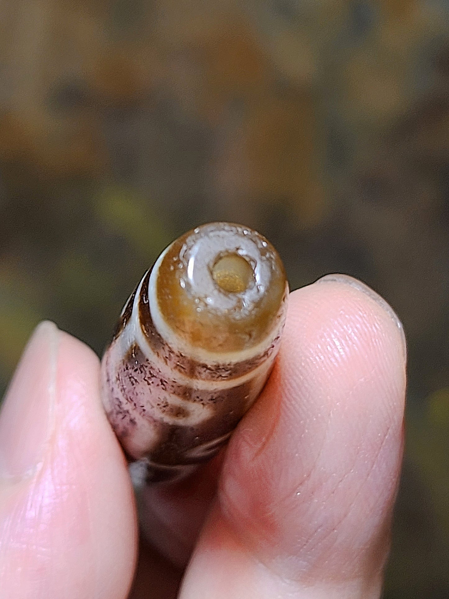 57.3mm Aged Tibetan Agate Nine Eyes Dzi (free necklace cord) 57.3毫米西藏老矿玛瑙九眼天珠(送項链绳)