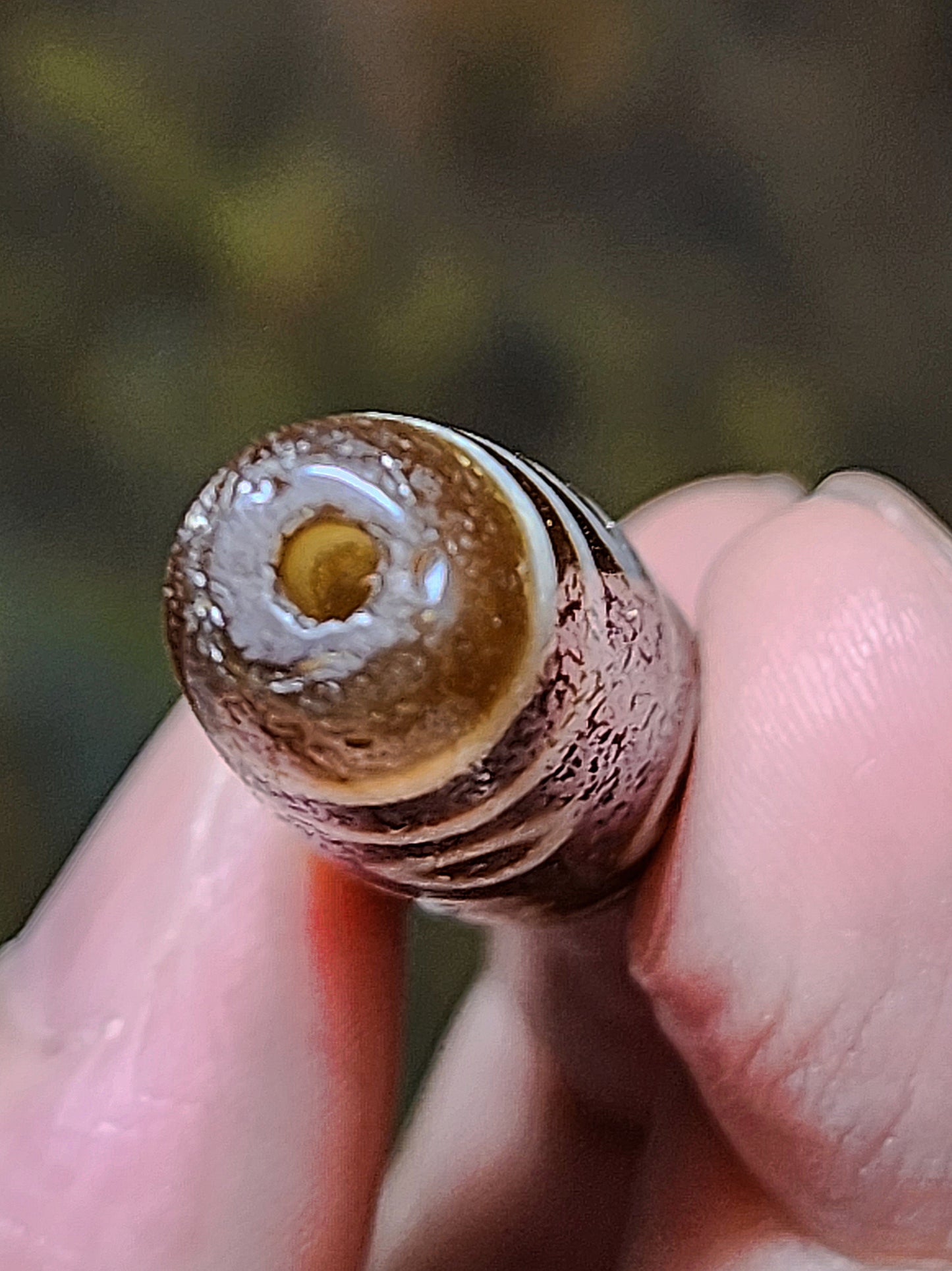 57.3mm Aged Tibetan Agate Nine Eyes Dzi (free necklace cord) 57.3毫米西藏老矿玛瑙九眼天珠(送項链绳)