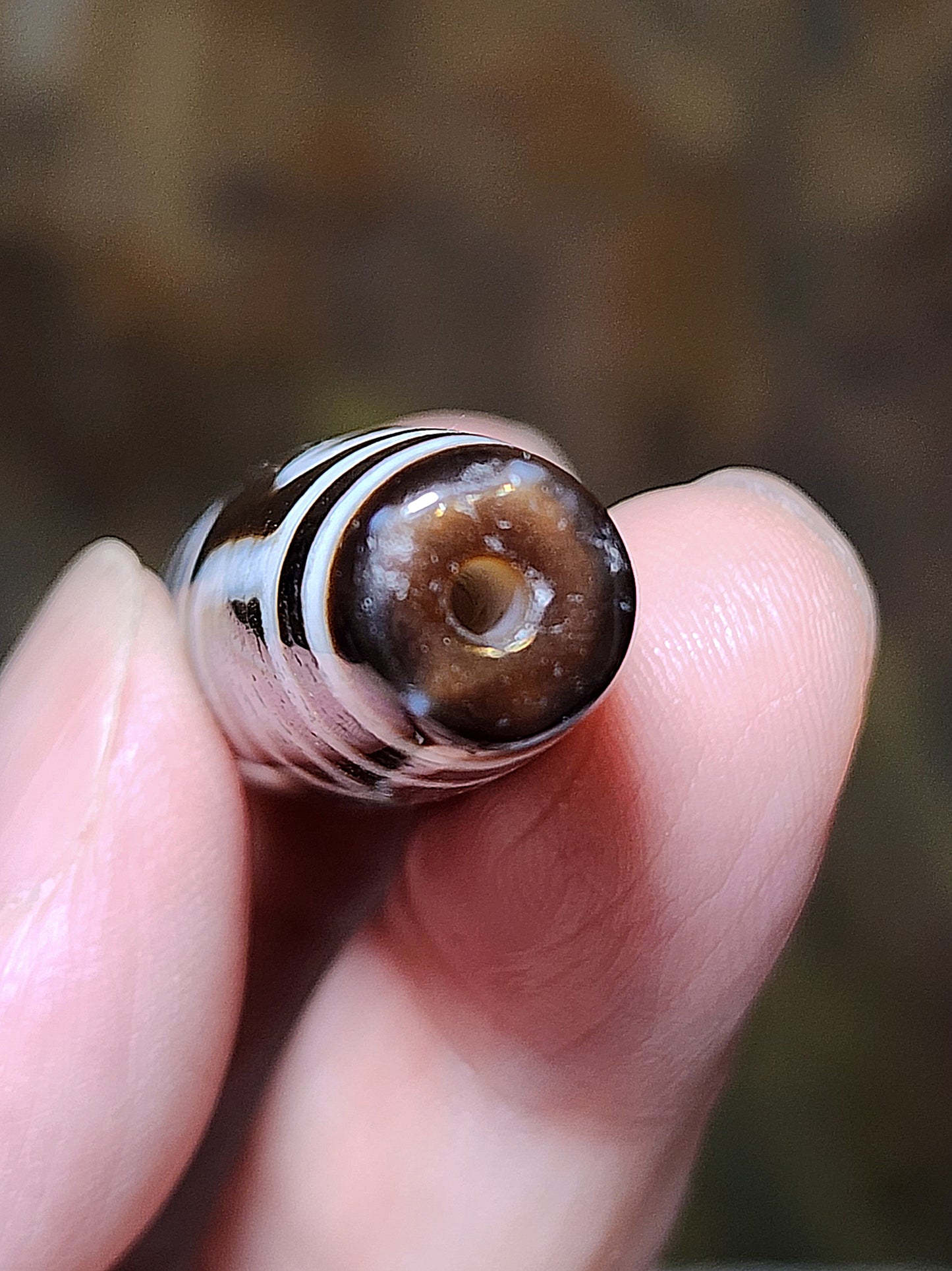 58.5mm Premium aged Tibetan Agate Nine Eyes Dzi (free necklace cord) 58.5毫米西藏老矿玛瑙精品九眼天珠(送項链绳)