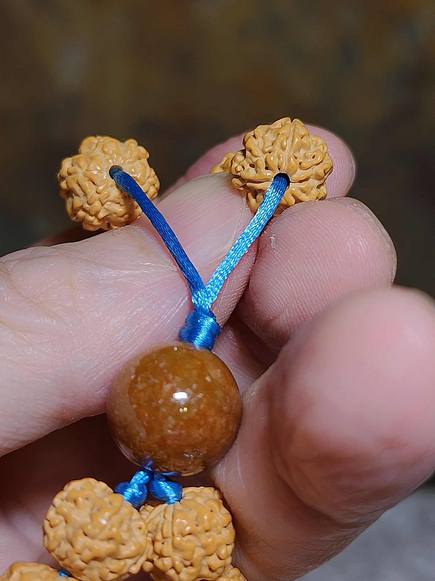 10.8mm 6-Mukhi (Faces) natural abacus shape deep lines "Flower King" Rudraksha 108 mala beads necklace 10.8毫米六瓣矮粧深坑花王小金刚菩提108念珠项链