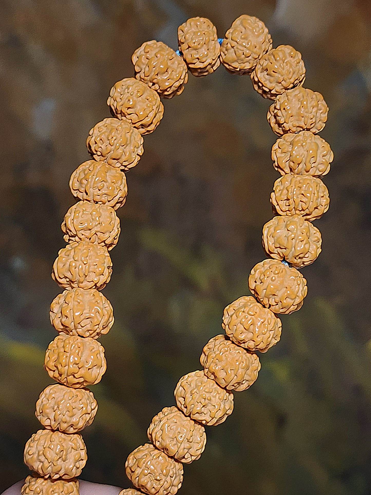 10.8mm 6-Mukhi (Faces) natural abacus shape deep lines "Flower King" Rudraksha 108 mala beads necklace 10.8毫米六瓣矮粧深坑花王小金刚菩提108念珠项链