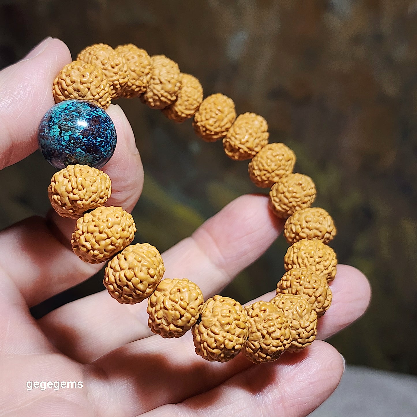 12.5mm+ premium natural "Panlong" (Coiling Dragon) 7 Mukhi (faces) small species Rudraksha with a 16.2mm Chrysocolla bracelet 七瓣盘龙小金刚菩提子配凤凰松石(硅孔雀石)手链