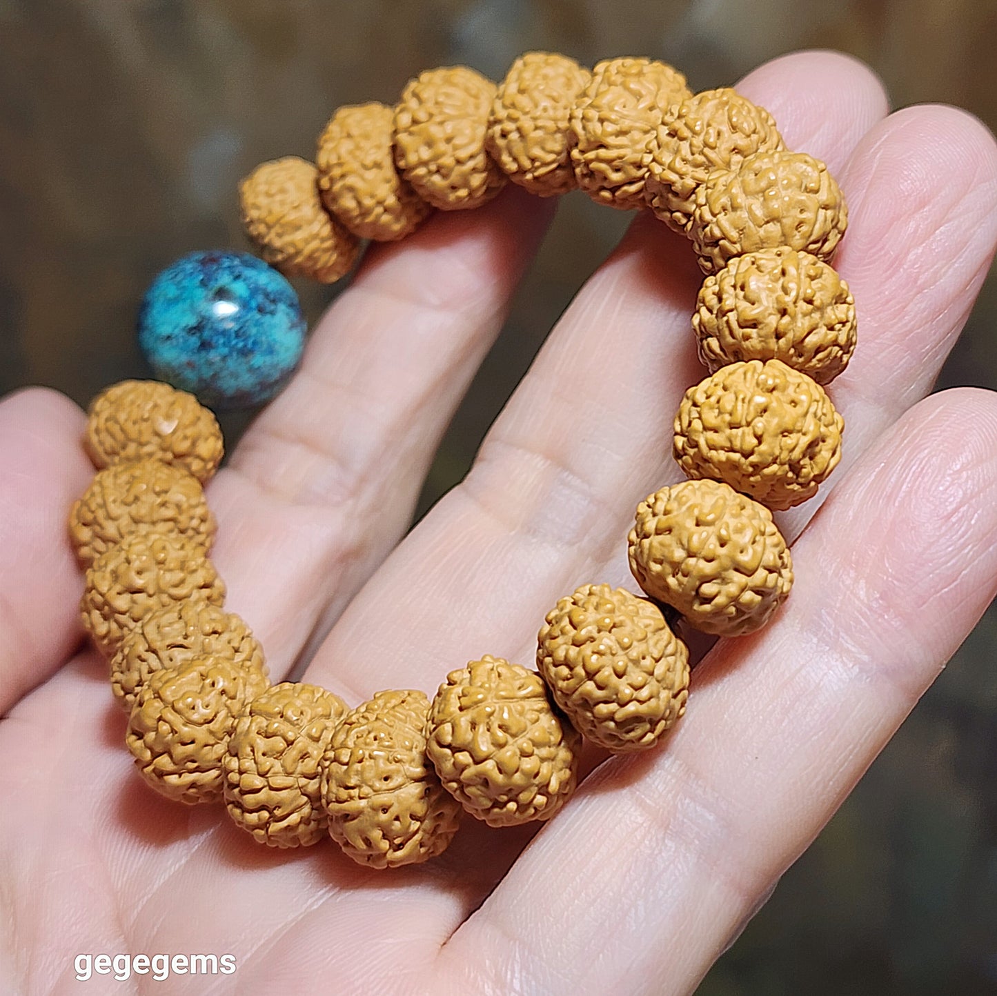 12.5mm+ premium natural "Panlong" (Coiling Dragon) 7 Mukhi (faces) small species Rudraksha with a 16.2mm Chrysocolla bracelet 七瓣盘龙小金刚菩提子配凤凰松石(硅孔雀石)手链