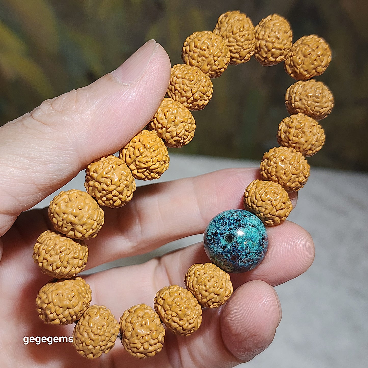 12.5mm+ premium natural "Panlong" (Coiling Dragon) 7 Mukhi (faces) small species Rudraksha with a 16.2mm Chrysocolla bracelet 七瓣盘龙小金刚菩提子配凤凰松石(硅孔雀石)手链