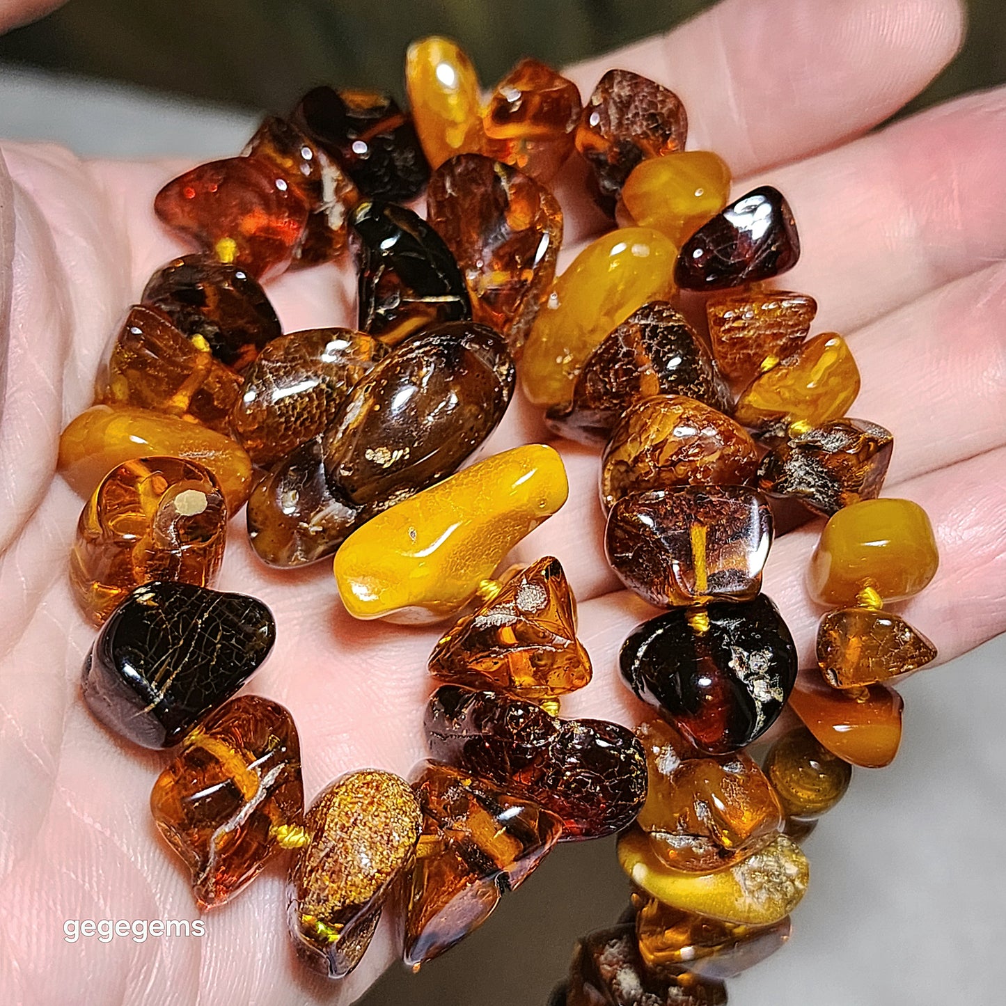 Gegegems Collection 39g premium Baltic wine red & golden yellow Amber and Butterscotch Amber freeform progressive size necklace 精品天然波罗的海酒紅金黄琥珀蜜蜡塔链項链