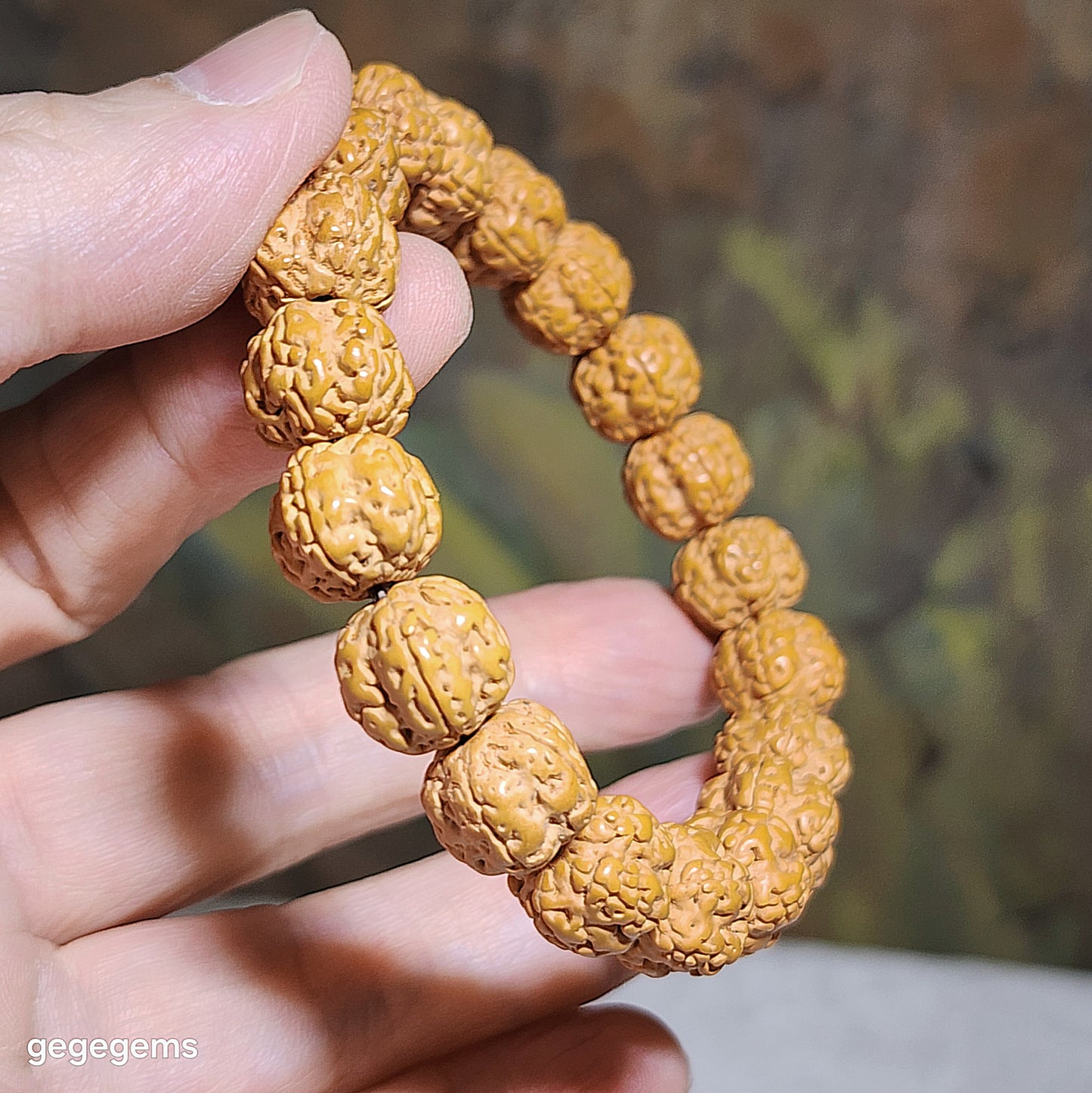 12mm+ Premium 5 Mukhi (Faces) Plum Blossom "5 Claws Dragon" Rudraksha bracelet 精品五瓣花王五爪金龙小金刚菩提子手链