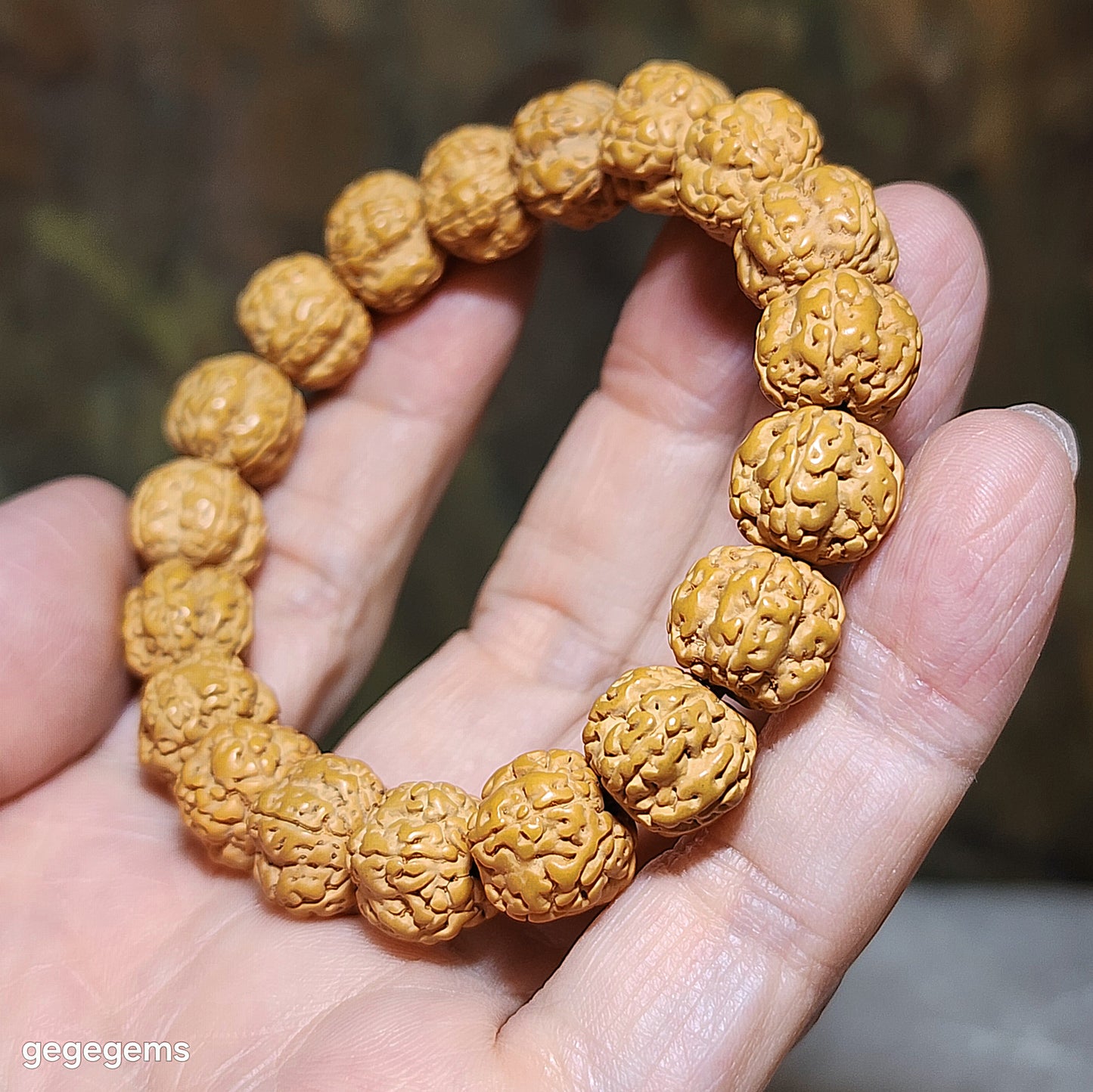 12mm+ Premium 5 Mukhi (Faces) Plum Blossom "5 Claws Dragon" Rudraksha bracelet 精品五瓣花王五爪金龙小金刚菩提子手链