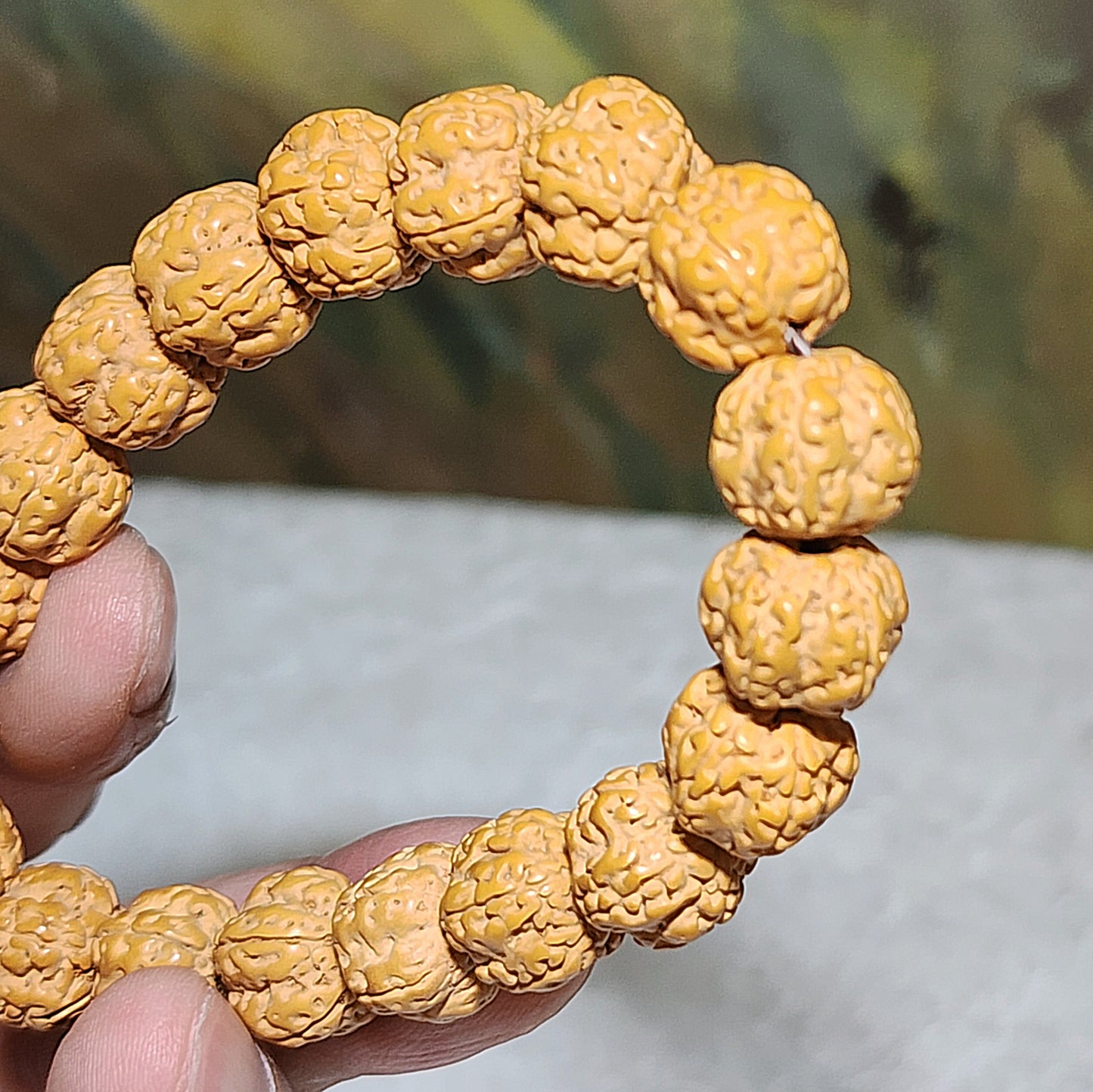 12mm+ Premium 5 Mukhi (Faces) Plum Blossom "5 Claws Dragon" Rudraksha bracelet 精品五瓣花王五爪金龙小金刚菩提子手链