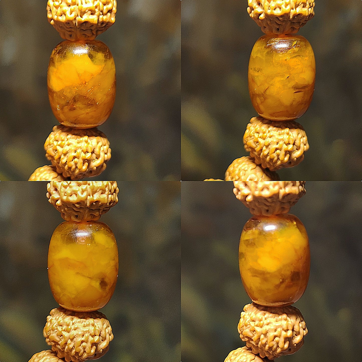 12.5mm+ premium natural "Panlong" (Coiling Dragon) 7 Mukhi (faces) small species Rudraksha with an aged Butterscotch Amber barrel bead "18 beads" bracelet 七瓣盘龙小金刚菩提子配老蜜蜡桶珠十八子手链