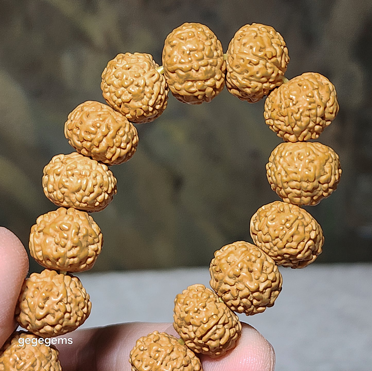 12.5mm+ premium natural "Panlong" (Coiling Dragon) 7 Mukhi (faces) small species Rudraksha with an aged Butterscotch Amber barrel bead "18 beads" bracelet 七瓣盘龙小金刚菩提子配老蜜蜡桶珠十八子手链