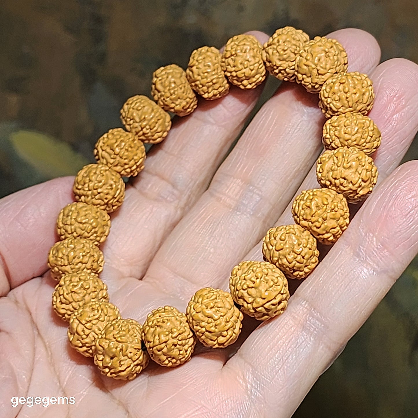 12mm+ premium natural "Panlong" (Coiling Dragon) 8 Mukhi (faces) small species Rudraksha bracelet 精品八瓣盘龙小金刚菩提子手链