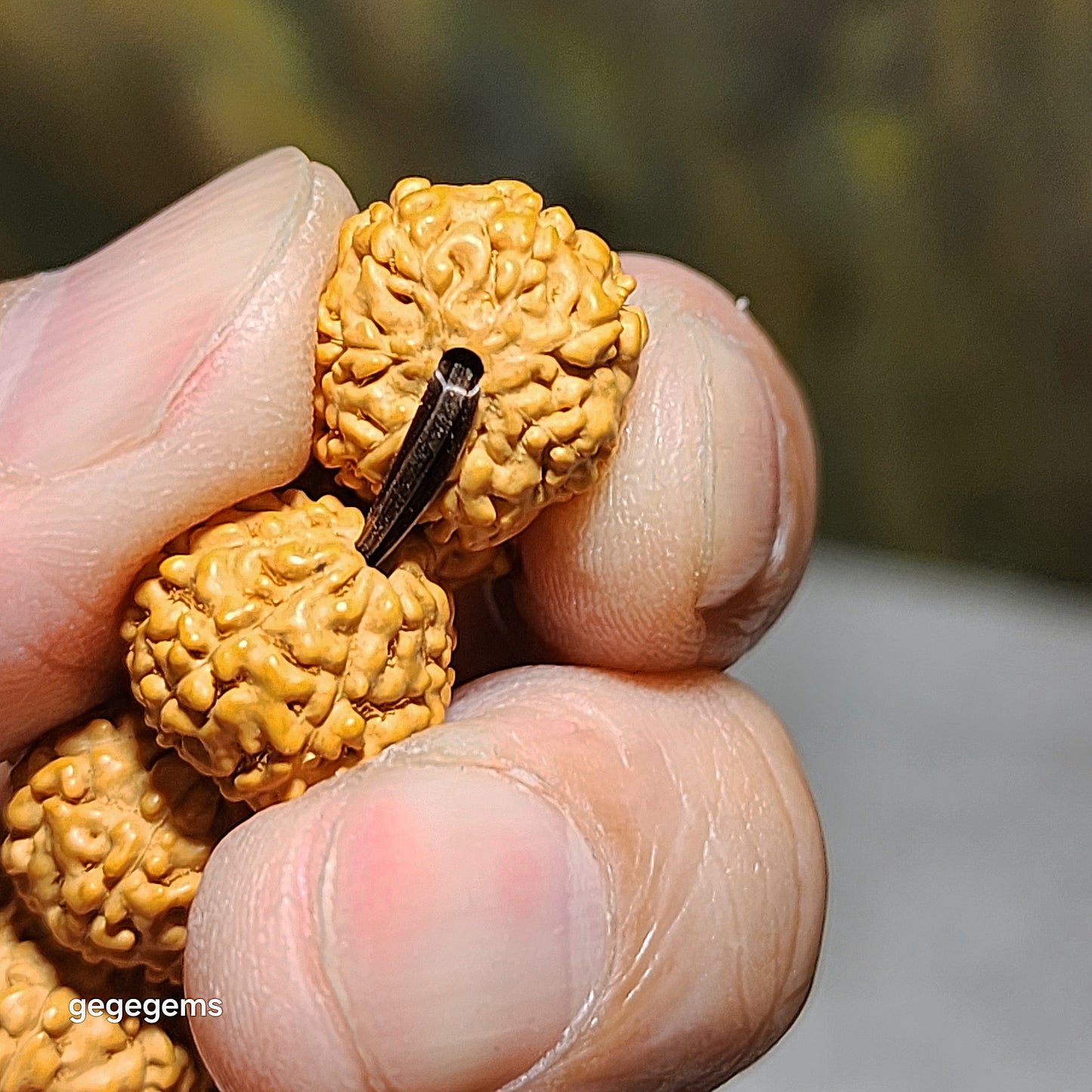 12mm+ premium natural "Panlong" (Coiling Dragon) 8 Mukhi (faces) small species Rudraksha bracelet 精品八瓣盘龙小金刚菩提子手链
