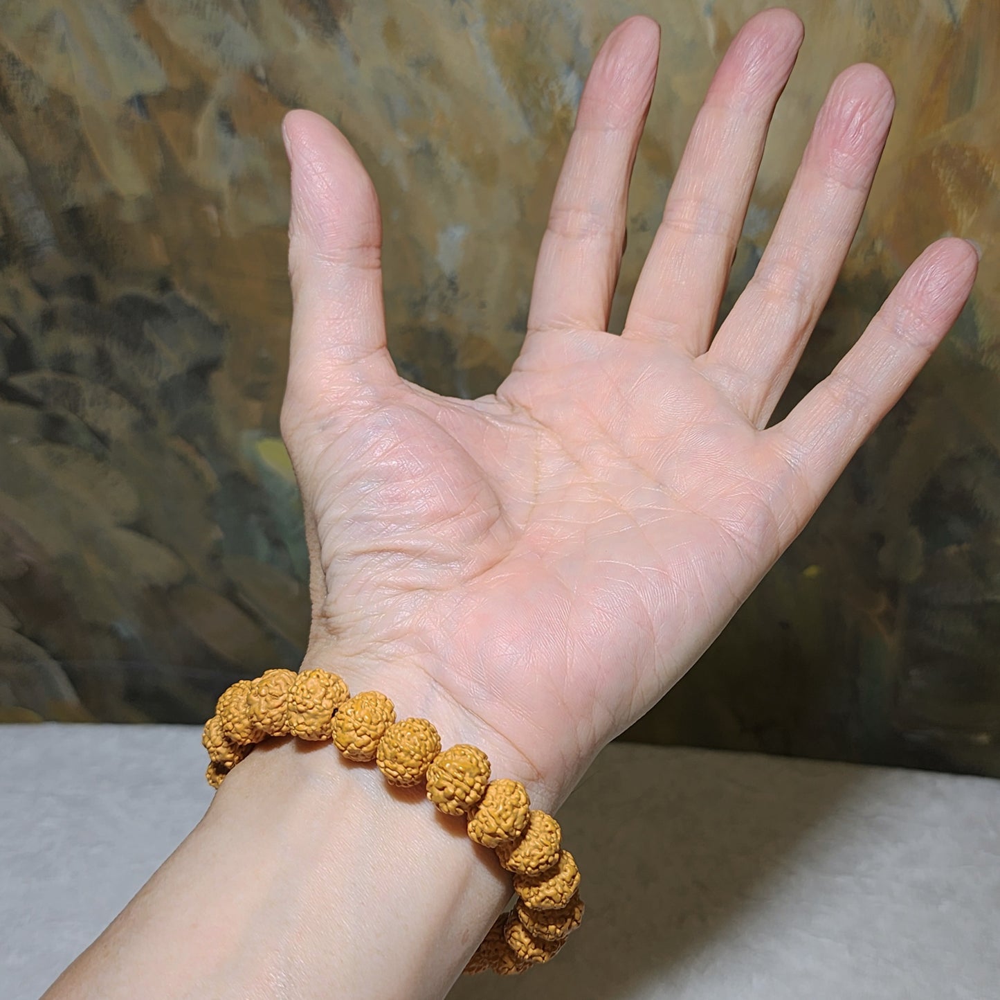 12mm+ premium natural "Panlong" (Coiling Dragon) 8 Mukhi (faces) small species Rudraksha bracelet 精品八瓣盘龙小金刚菩提子手链