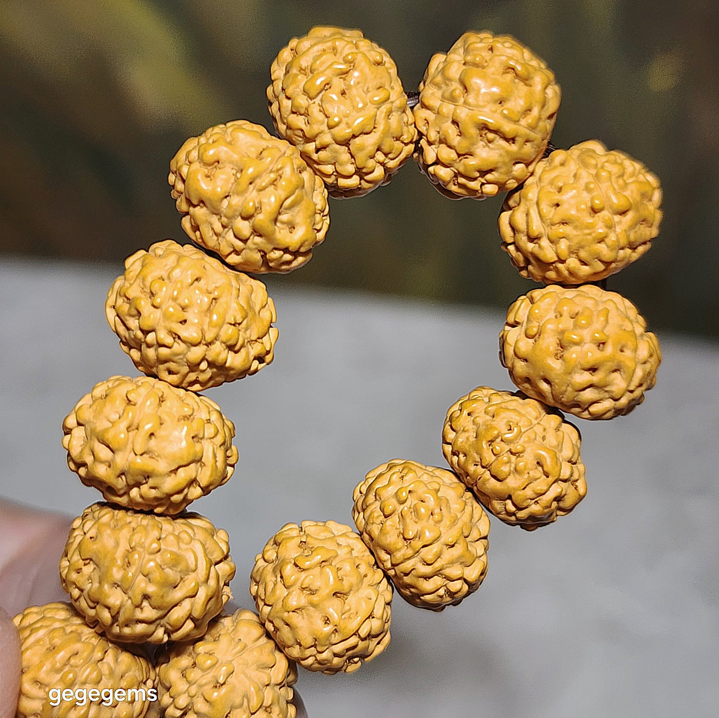 12mm+ premium natural "Panlong" (Coiling Dragon) 8 Mukhi (faces) small species Rudraksha bracelet 精品八瓣盘龙小金刚菩提子手链