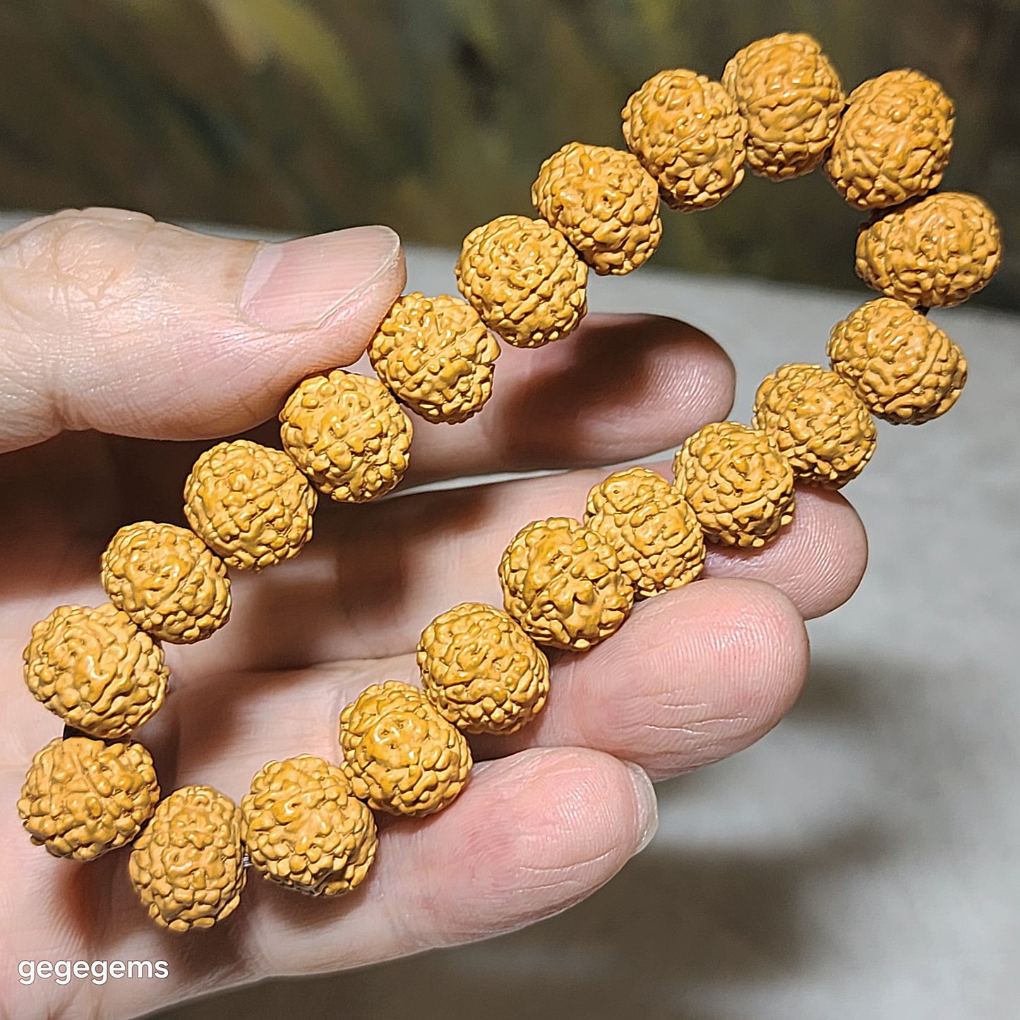 12mm+ premium natural "Panlong" (Coiling Dragon) 8 Mukhi (faces) small species Rudraksha bracelet 精品八瓣盘龙小金刚菩提子手链