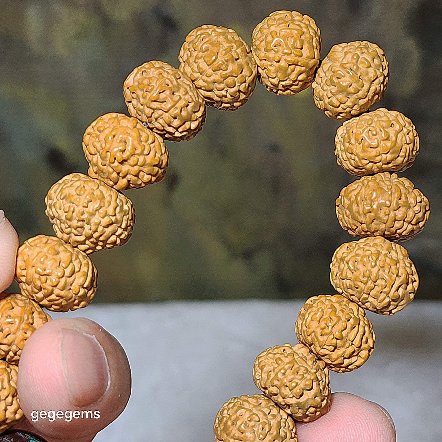 14mm+ premium natural "Panlong" (Coiling Dragon) 10 Mukhi (faces) small species Rudraksha with a 16mm Chrysocolla "18 beads mala" bracelet 十瓣盘龙小金刚菩提子配凤凰松石(硅孔雀石)十八子手链