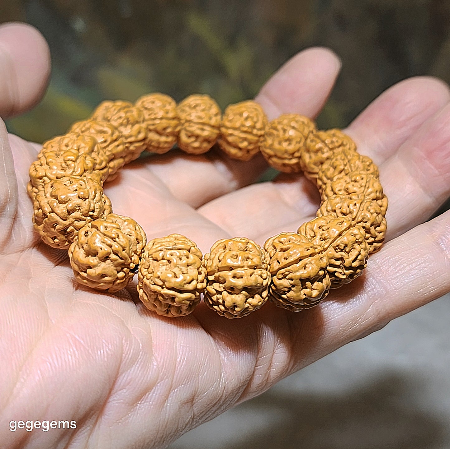 14.5mm+ Premium 5 Mukhi (Faces) deep lines "Double Dragons" "Panlong" Rudraksha bracelet 五瓣深坑树王双龙盘龙小金刚菩提子手链