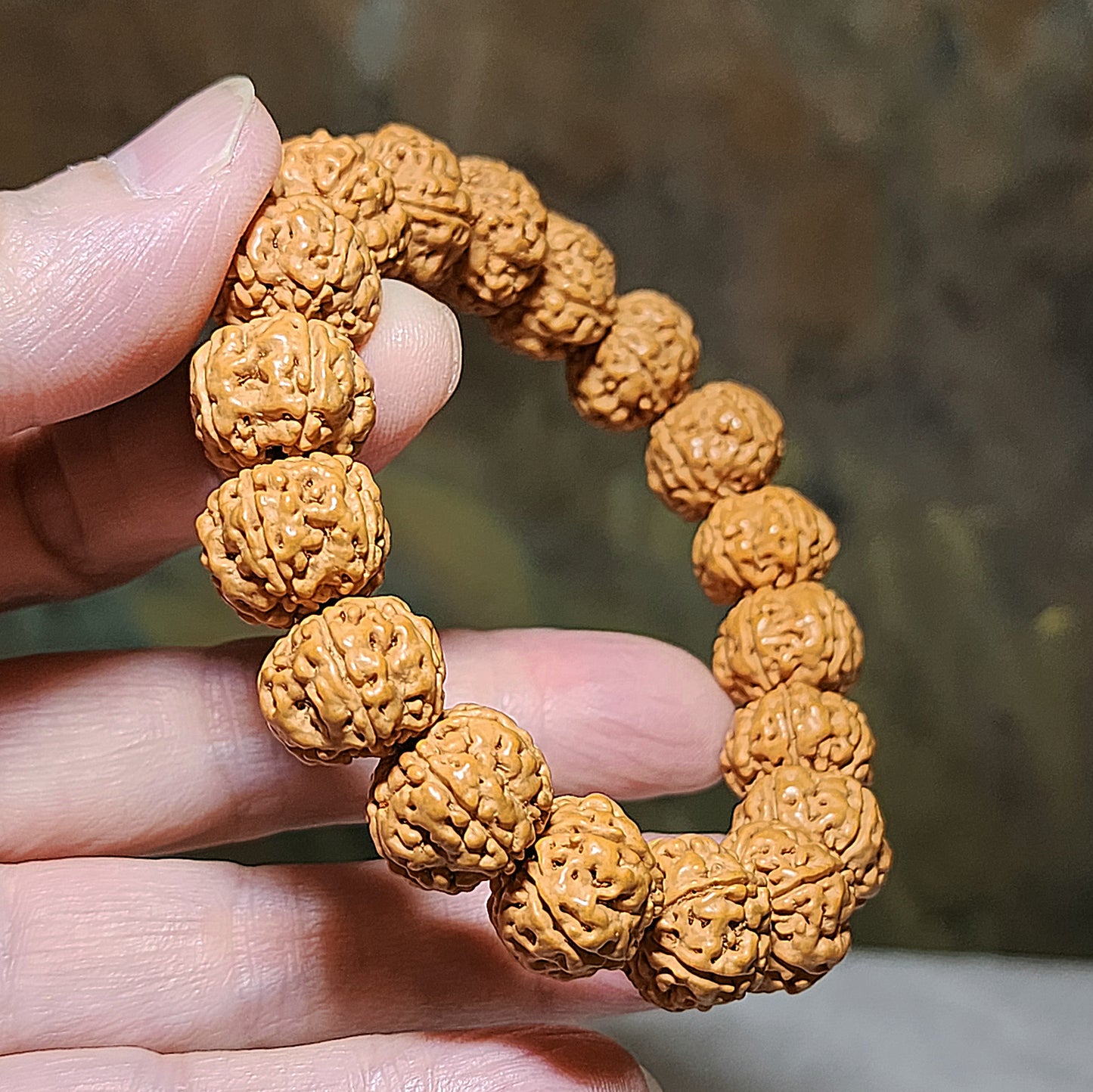 14.5mm+ Premium 5 Mukhi (Faces) deep lines "Double Dragons" "Panlong" Rudraksha bracelet 五瓣深坑树王双龙盘龙小金刚菩提子手链
