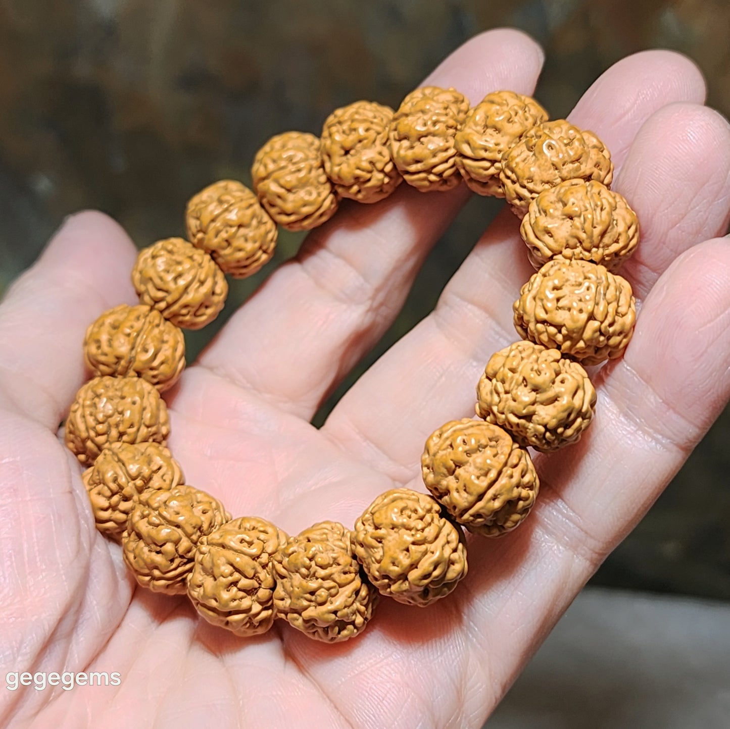 14.5mm+ Premium 5 Mukhi (Faces) deep lines "Double Dragons" "Panlong" Rudraksha bracelet 五瓣深坑树王双龙盘龙小金刚菩提子手链