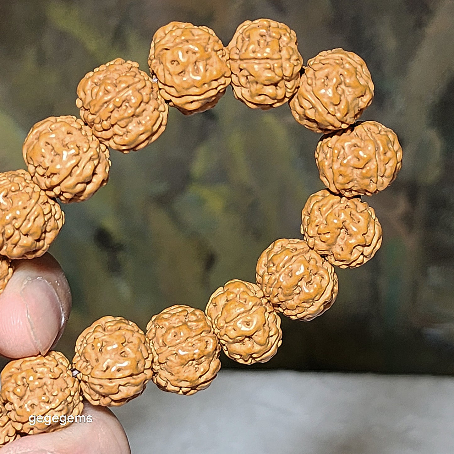 14.5mm+ Premium 5 Mukhi (Faces) deep lines "Double Dragons" "Panlong" Rudraksha bracelet 五瓣深坑树王双龙盘龙小金刚菩提子手链