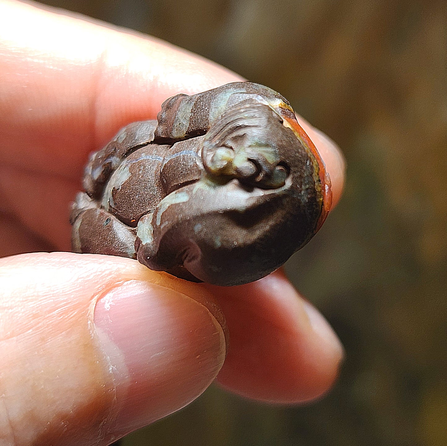 29.8mm Baoshan Nan Hong Adong Zhai with "skin" carved 3 dimensional Pi Xiu pendant 保山南红阿东寨带皮立体貔貅吊坠 #2
