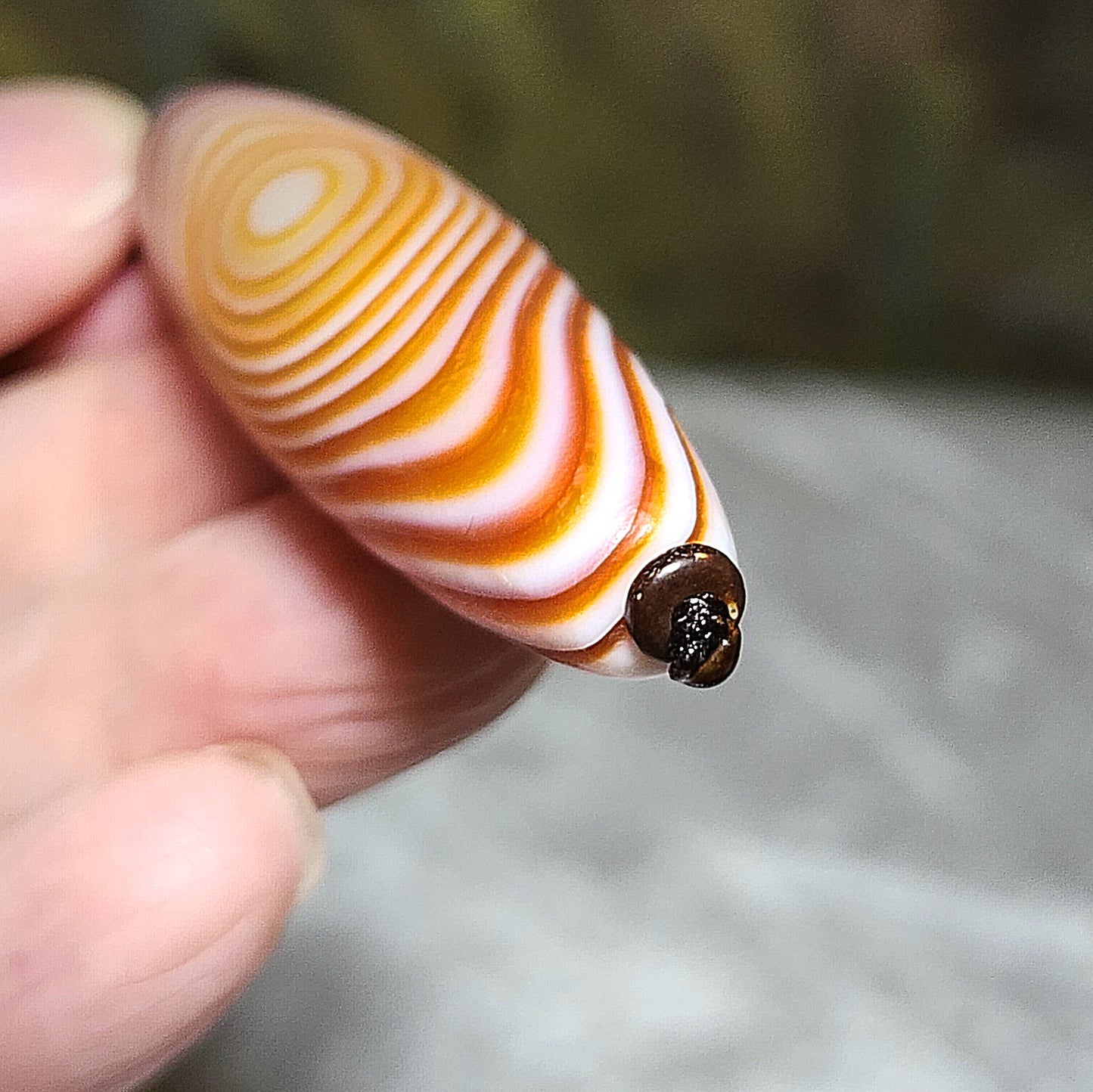 6.3cm Premium Tibetan Sardonyx Natural Eyes 3 Eyes "Number 8" Dzi pendant 藏传天然缠丝玛瑙红纹天眼三眼"8字" 天珠吊坠