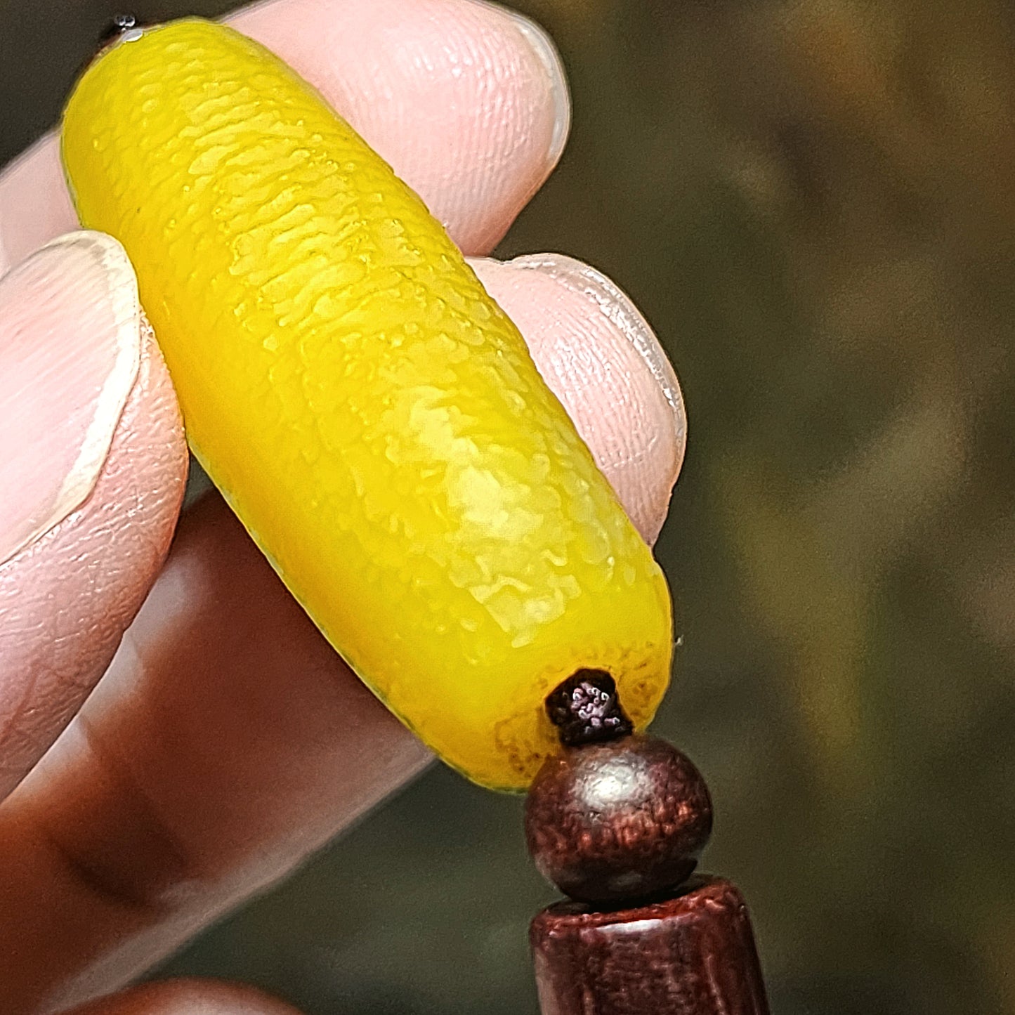 39.5mm Premium Gobi Desert natural raw "Tendons" Agate "Abundant Wealth" (natural colors resemble to Sweet Corn) 3 Eyes Dzi pendant 戈壁沙漠筋脉石天然原石"金玉滿堂"三眼天珠吊坠