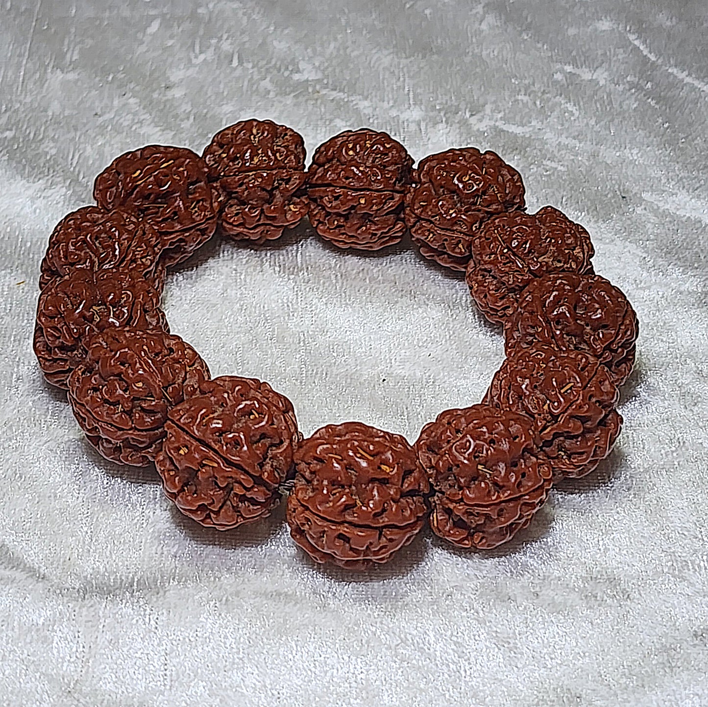 21mm+ Thoroughly cleaned & brushed Nepal Rudraksha from high altitude (dense & high natural oil contents) same tree both sides Plum Flower Panlong Double-Dragon 5 Mukhi (faces) bracelet/Handheld 21毫米+ 深度清理打底尼泊尔五瓣高山安娜籽同树双面梅花盘龙双龙大金刚菩提子手串/手持