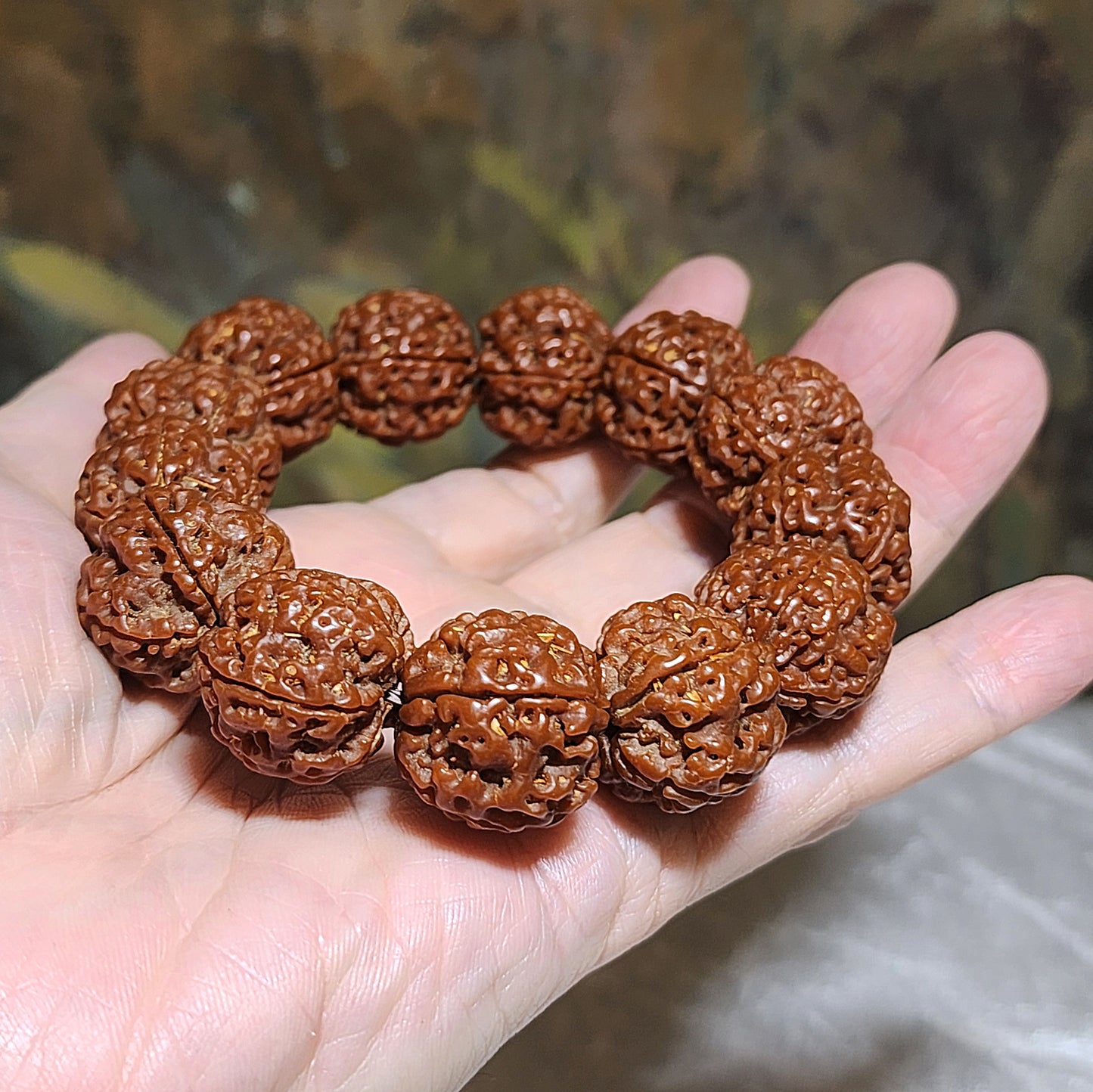 21mm+ Thoroughly cleaned & brushed Nepal Rudraksha from high altitude (dense & high natural oil contents) same tree both sides Plum Flower Panlong Double-Dragon 5 Mukhi (faces) bracelet/Handheld 21毫米+ 深度清理打底尼泊尔五瓣高山安娜籽同树双面梅花盘龙双龙大金刚菩提子手串/手持