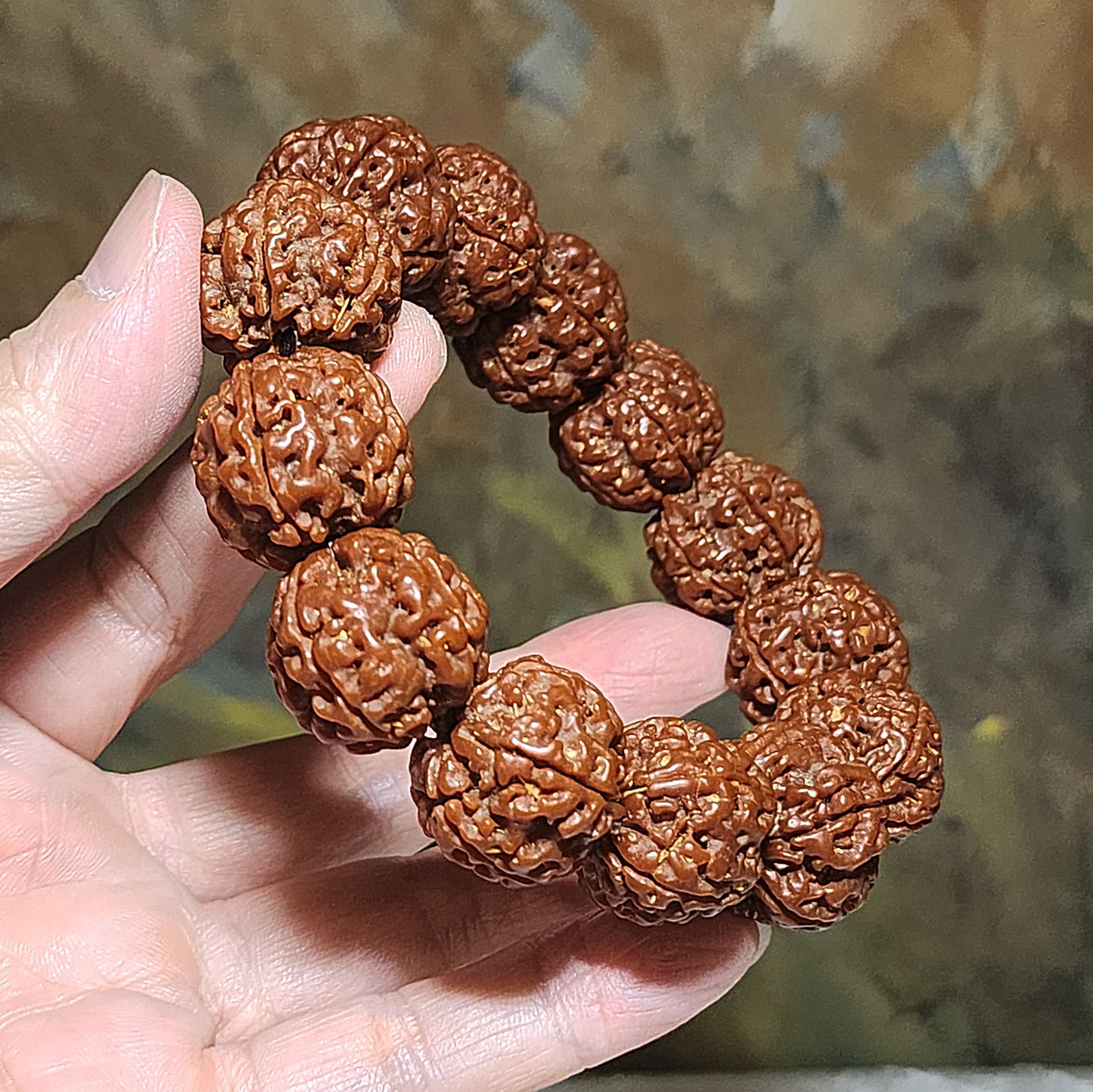 21mm+ Thoroughly cleaned & brushed Nepal Rudraksha from high altitude (dense & high natural oil contents) same tree both sides Plum Flower Panlong Double-Dragon 5 Mukhi (faces) bracelet/Handheld 21毫米+ 深度清理打底尼泊尔五瓣高山安娜籽同树双面梅花盘龙双龙大金刚菩提子手串/手持